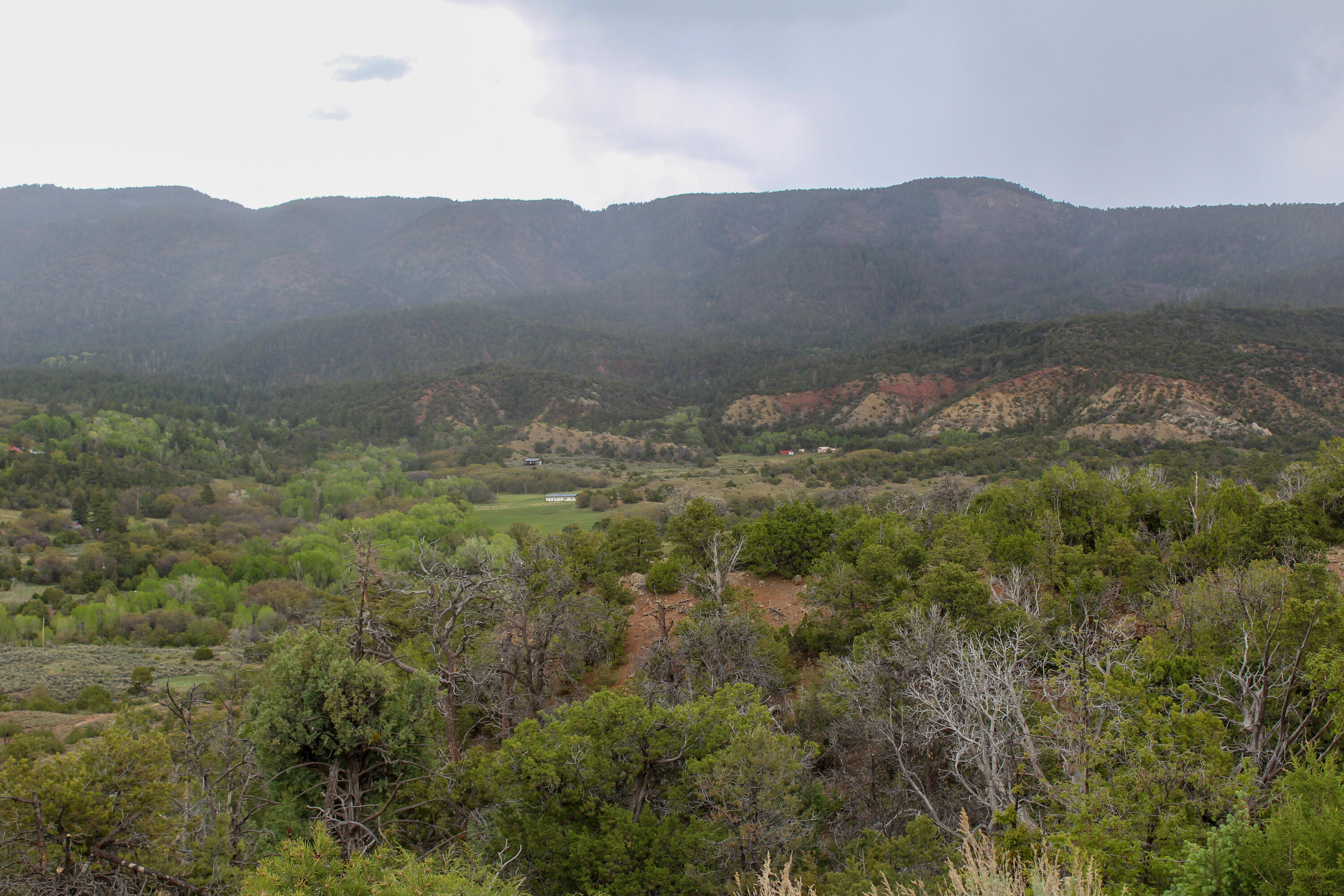 Tbd 200 Vallecitos Road Road, Cuba, New Mexico image 30