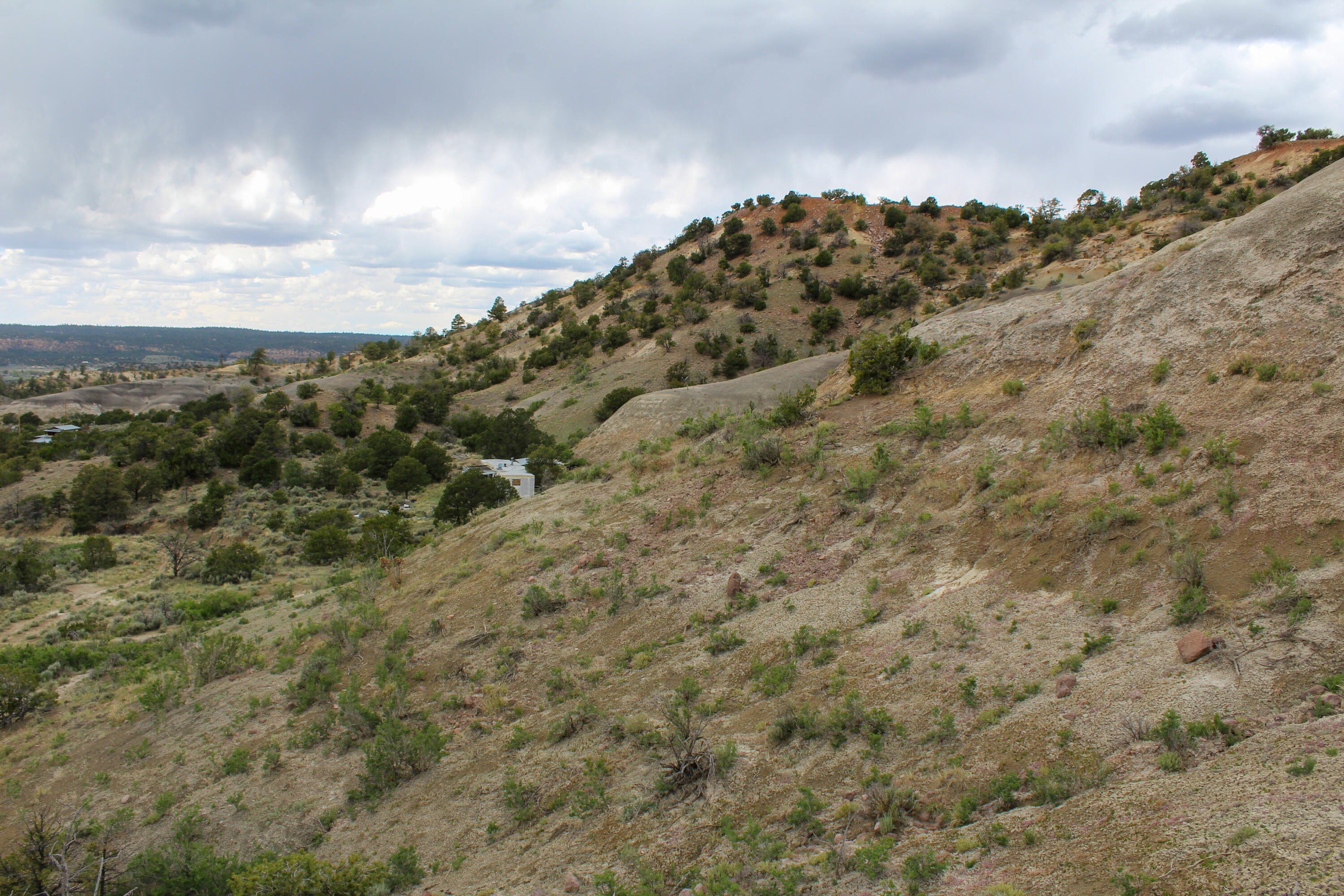 Tbd 200 Vallecitos Road Road, Cuba, New Mexico image 6