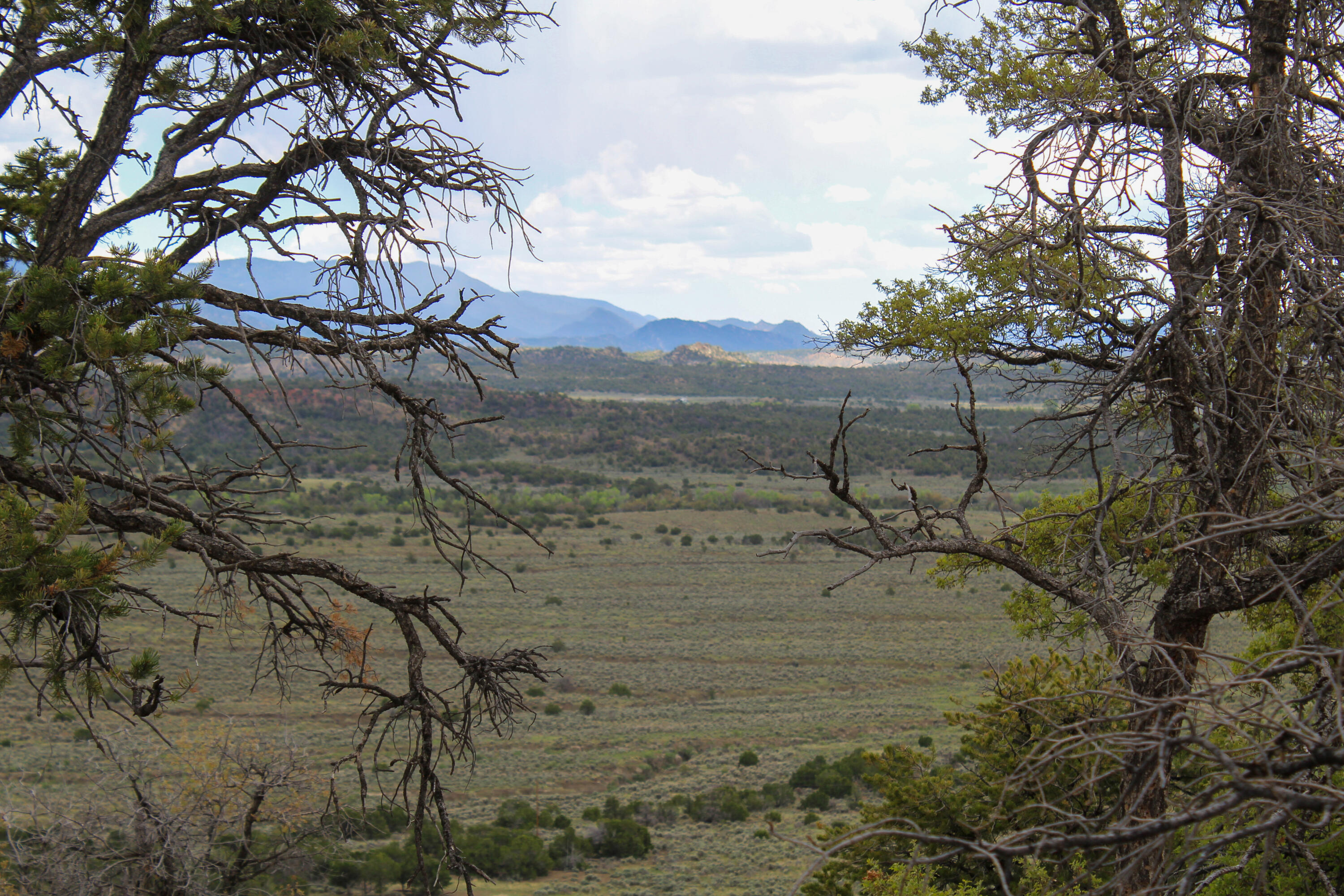 Tbd 200 Vallecitos Road Road, Cuba, New Mexico image 24