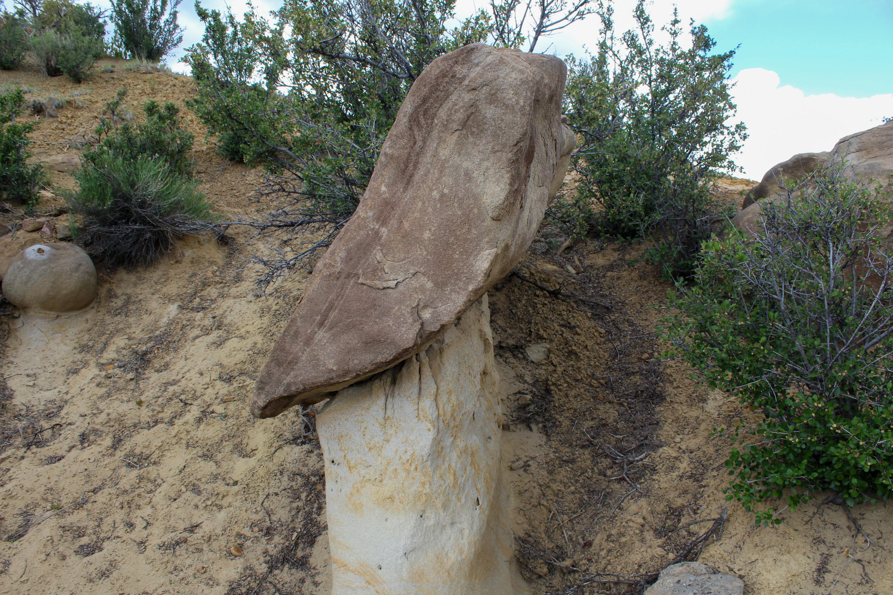 Tbd 200 Vallecitos Road Road, Cuba, New Mexico image 12