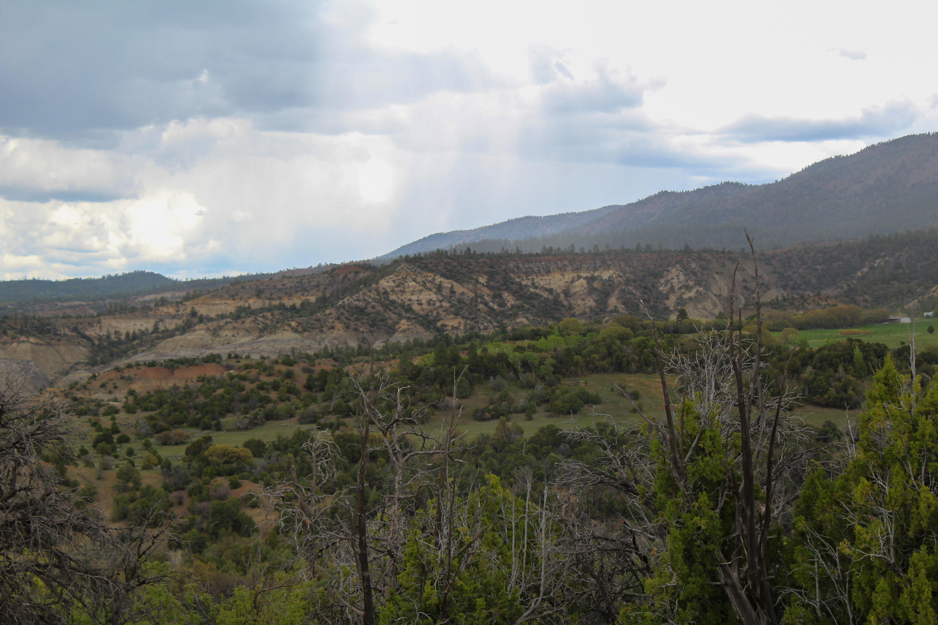 Tbd 200 Vallecitos Road Road, Cuba, New Mexico image 23