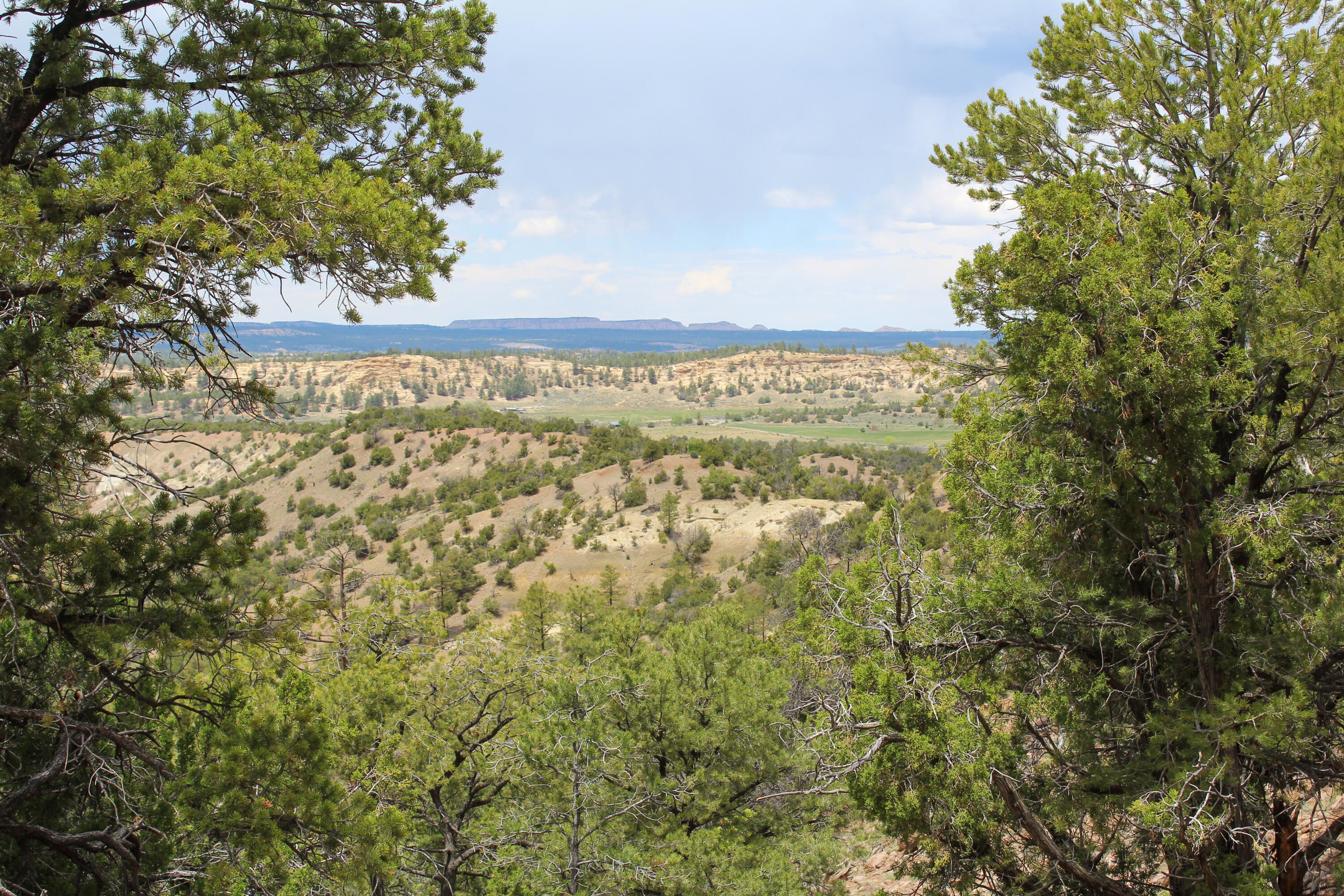 Tbd 200 Vallecitos Road Road, Cuba, New Mexico image 45