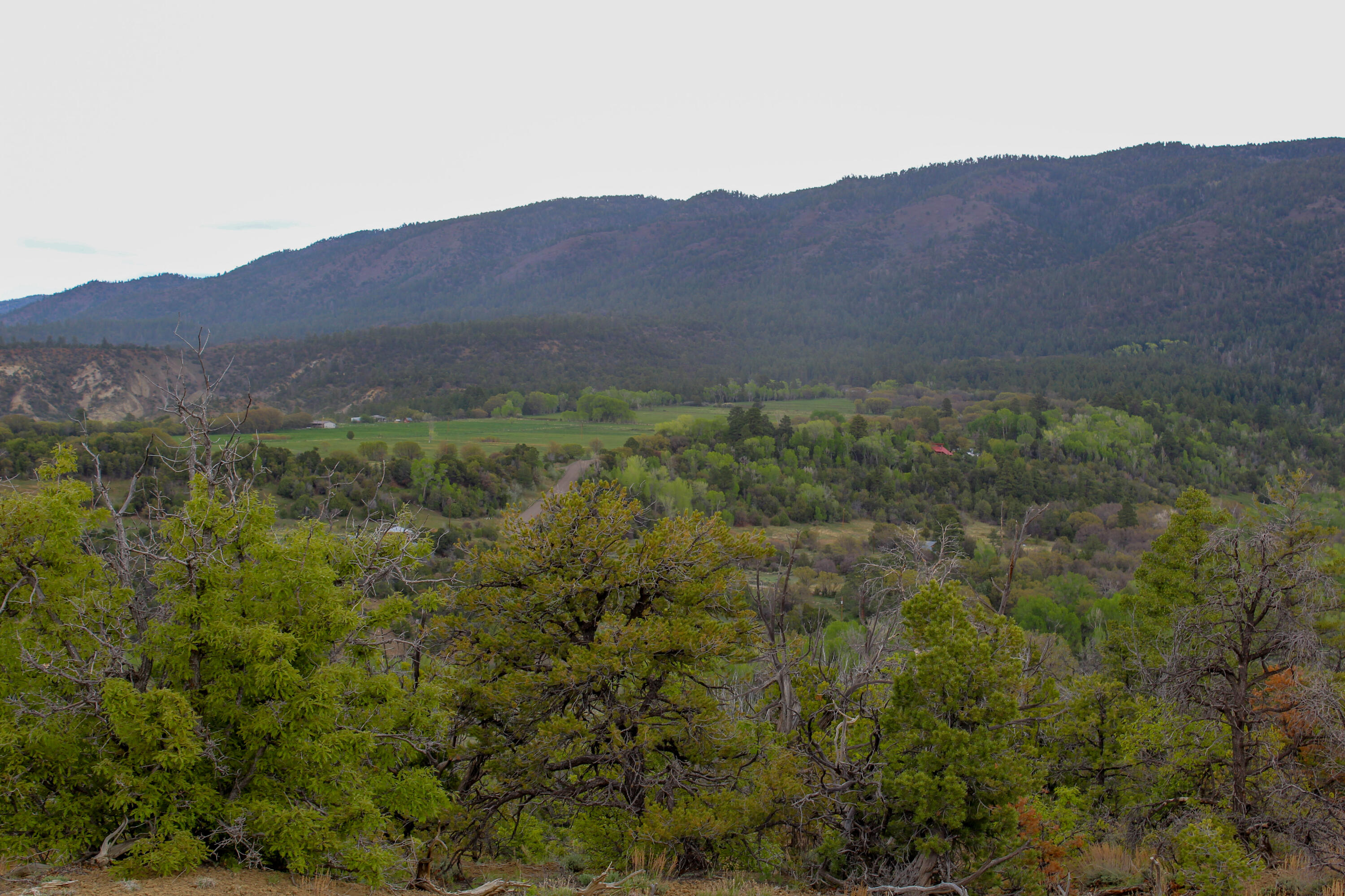 Tbd 200 Vallecitos Road Road, Cuba, New Mexico image 22