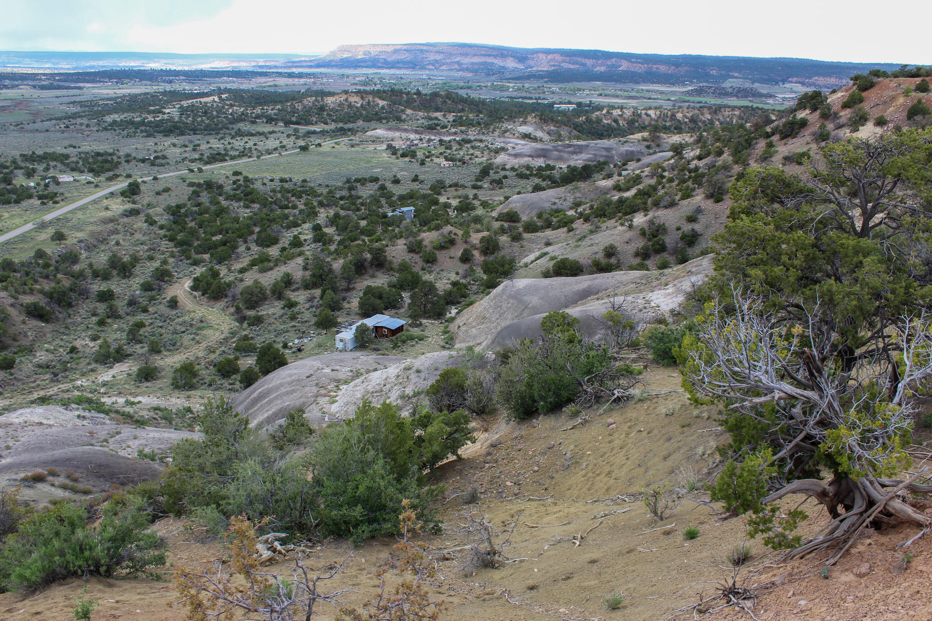 Tbd 200 Vallecitos Road Road, Cuba, New Mexico image 16