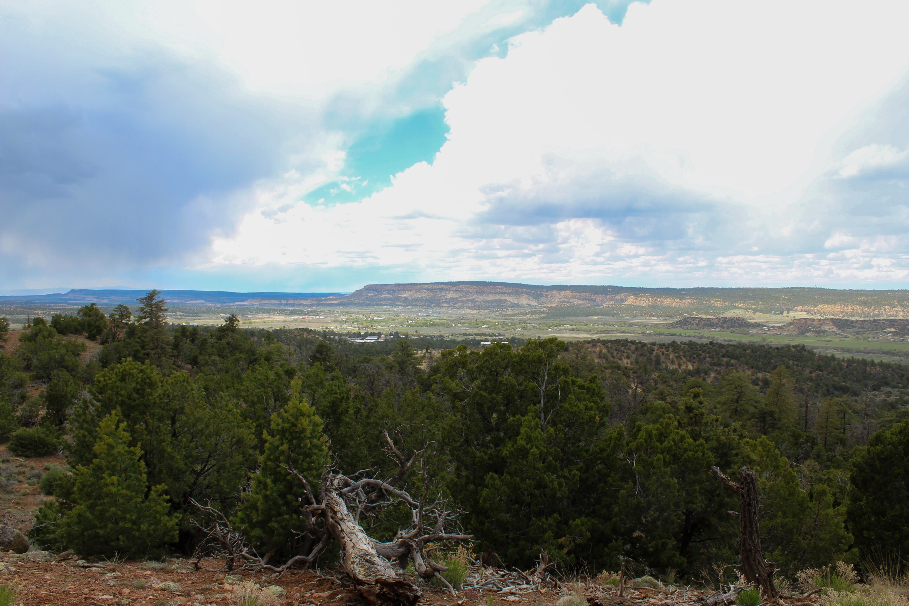 Tbd 200 Vallecitos Road Road, Cuba, New Mexico image 37