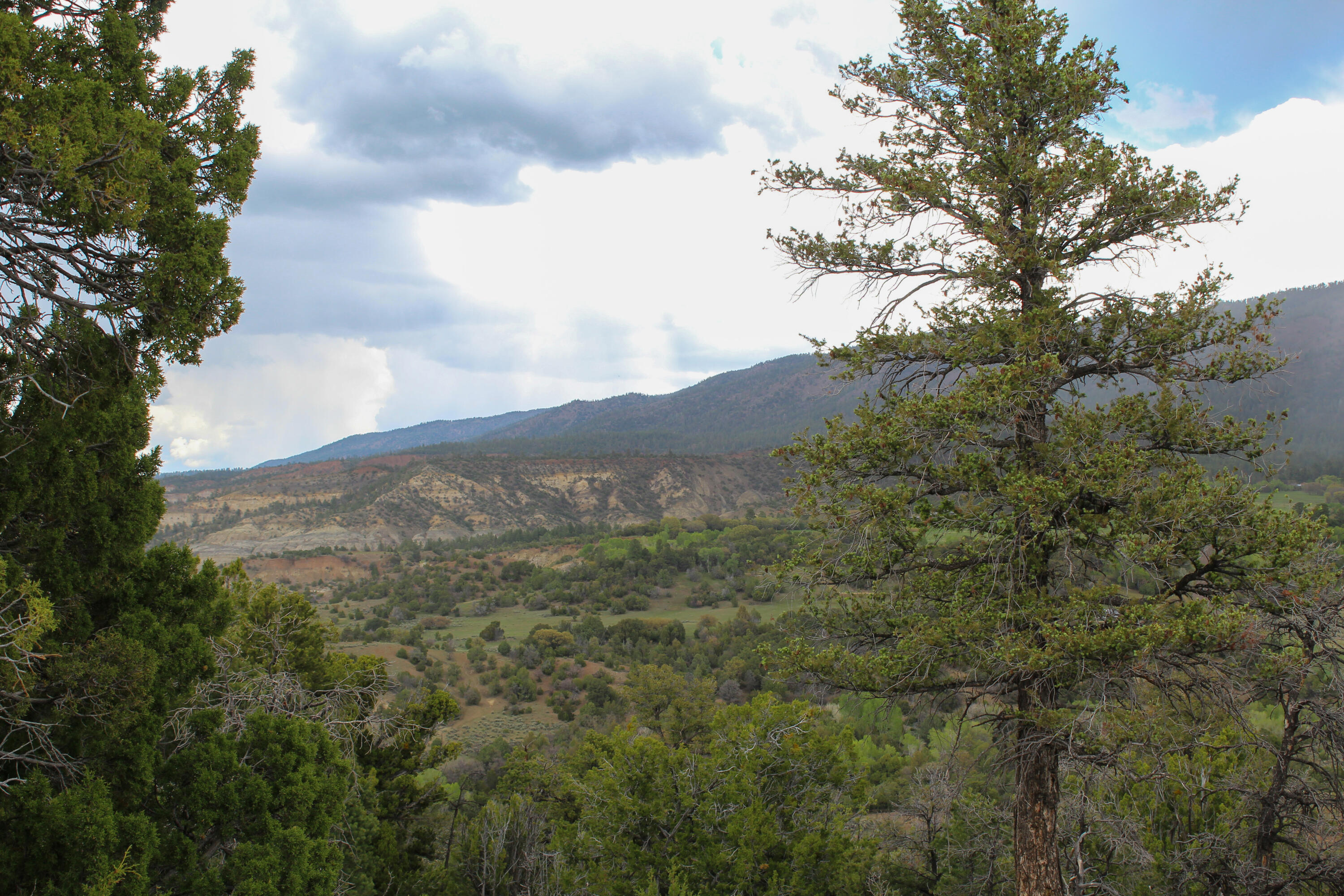 Tbd 200 Vallecitos Road Road, Cuba, New Mexico image 31