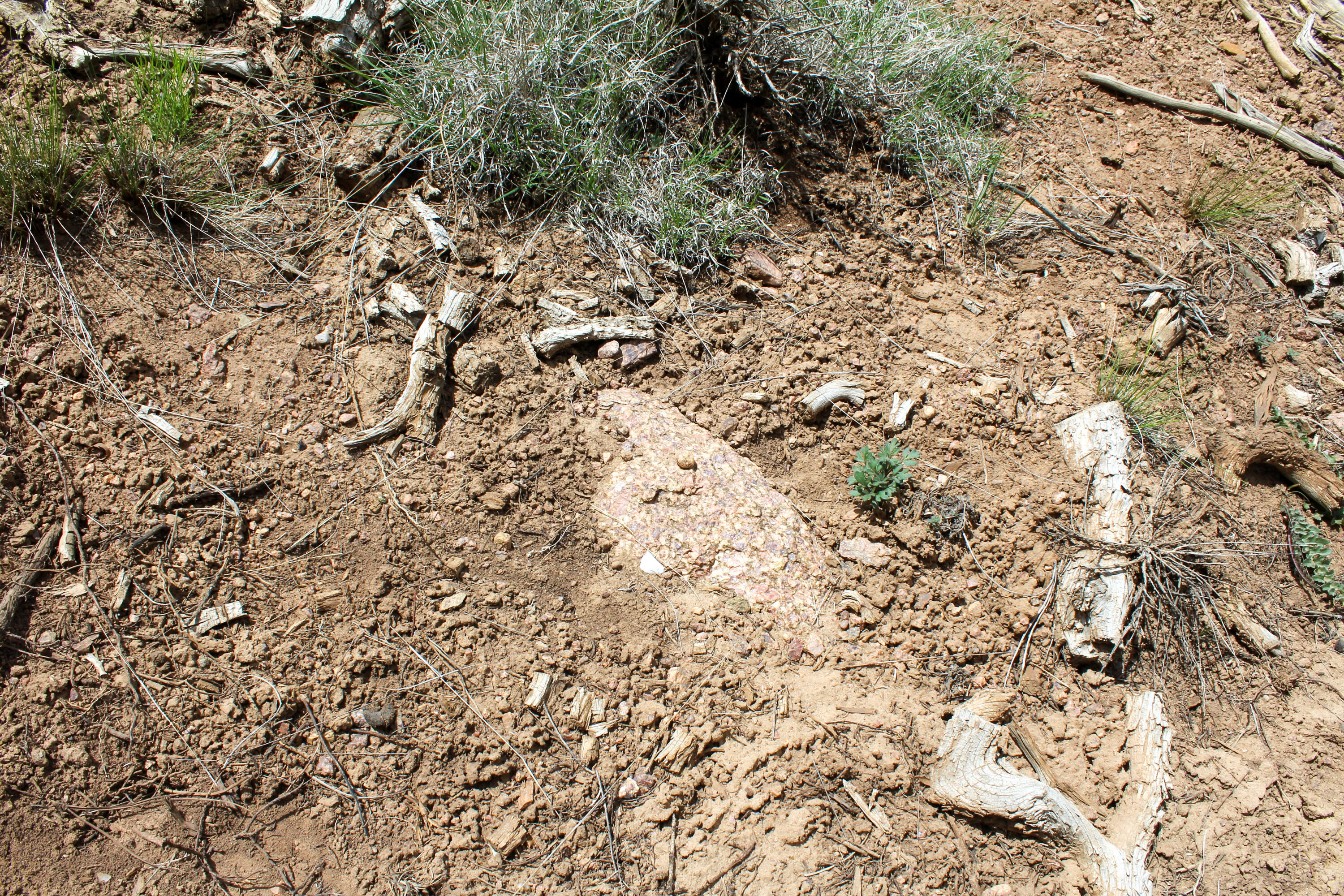 Tbd 200 Vallecitos Road Road, Cuba, New Mexico image 47