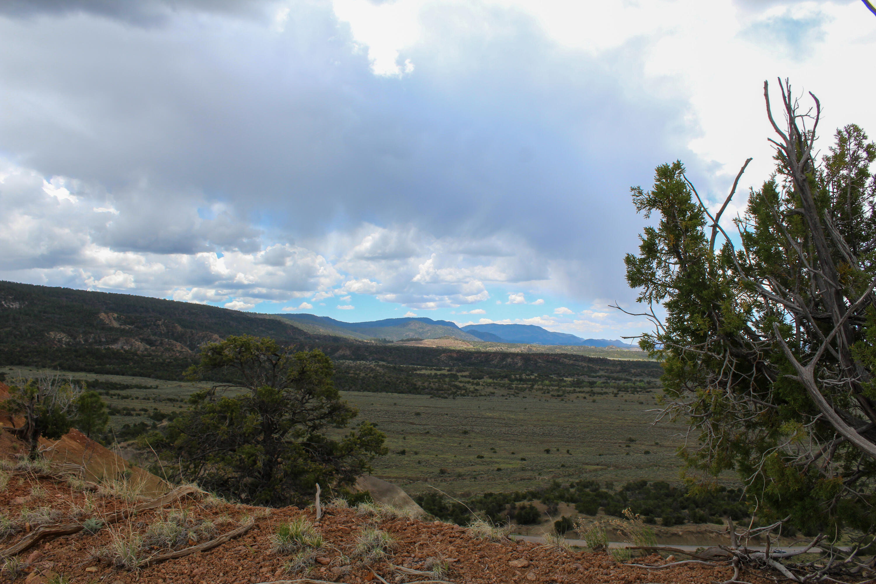 Tbd 200 Vallecitos Road Road, Cuba, New Mexico image 17