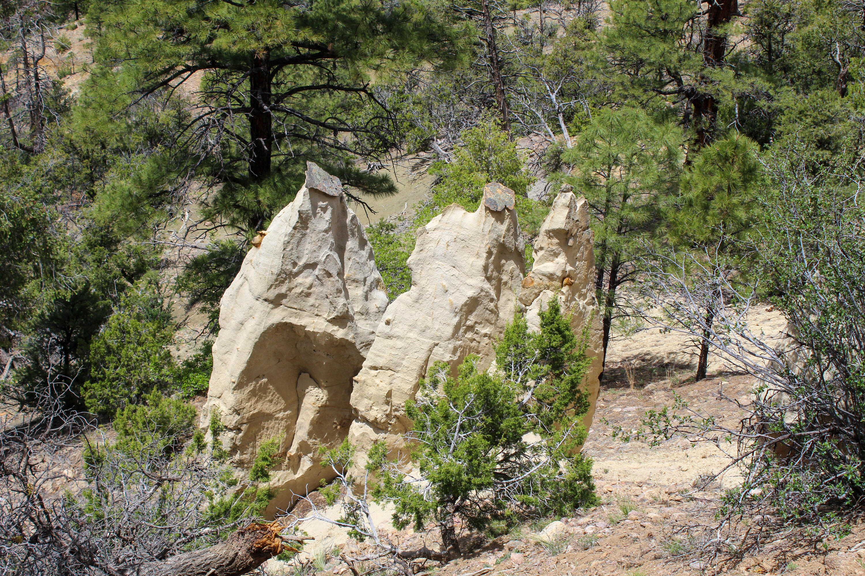 Tbd 200 Vallecitos Road Road, Cuba, New Mexico image 49