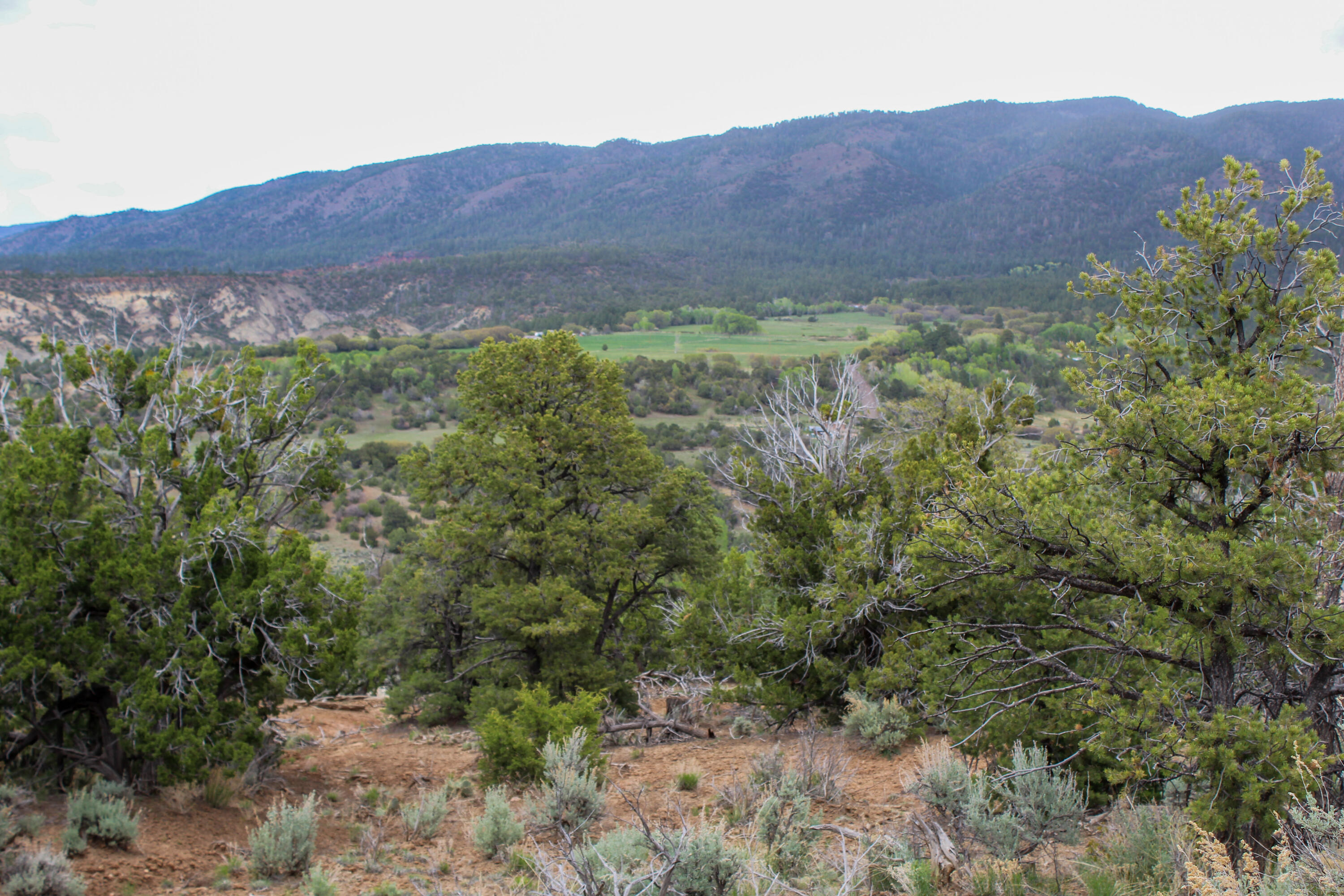 Tbd 200 Vallecitos Road Road, Cuba, New Mexico image 35