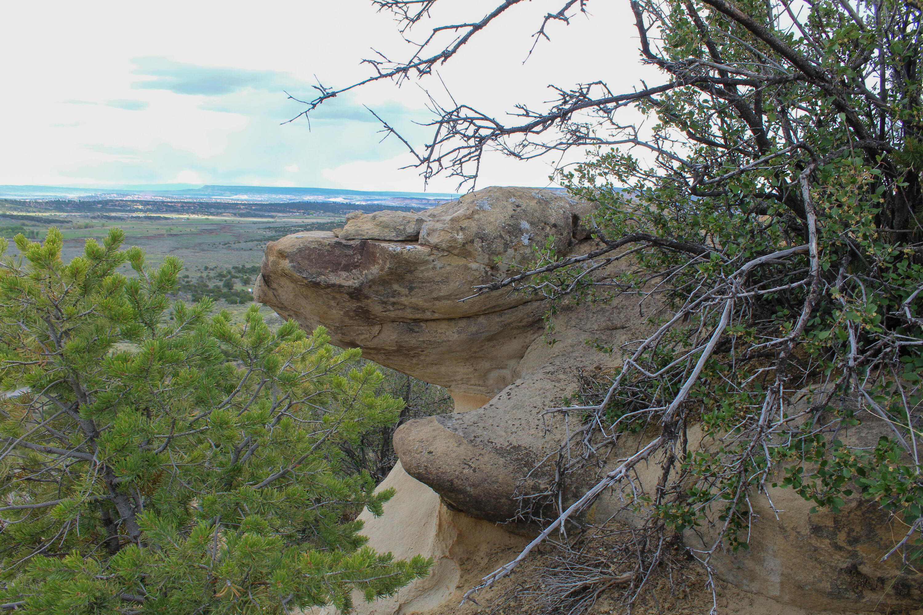 Tbd 200 Vallecitos Road Road, Cuba, New Mexico image 13