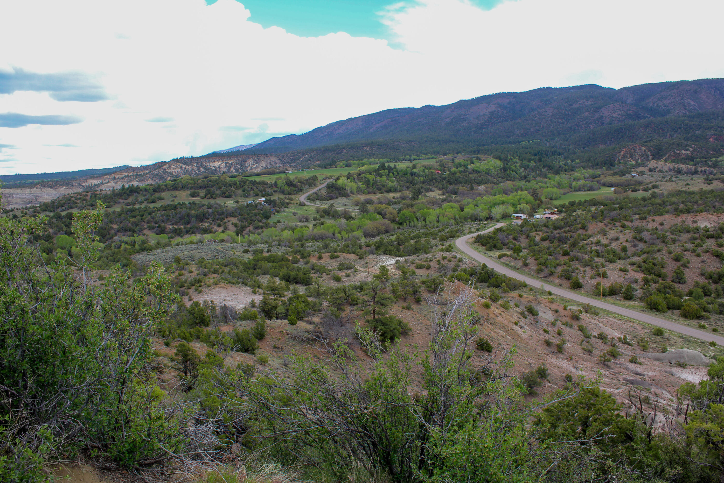 Tbd 200 Vallecitos Road Road, Cuba, New Mexico image 15