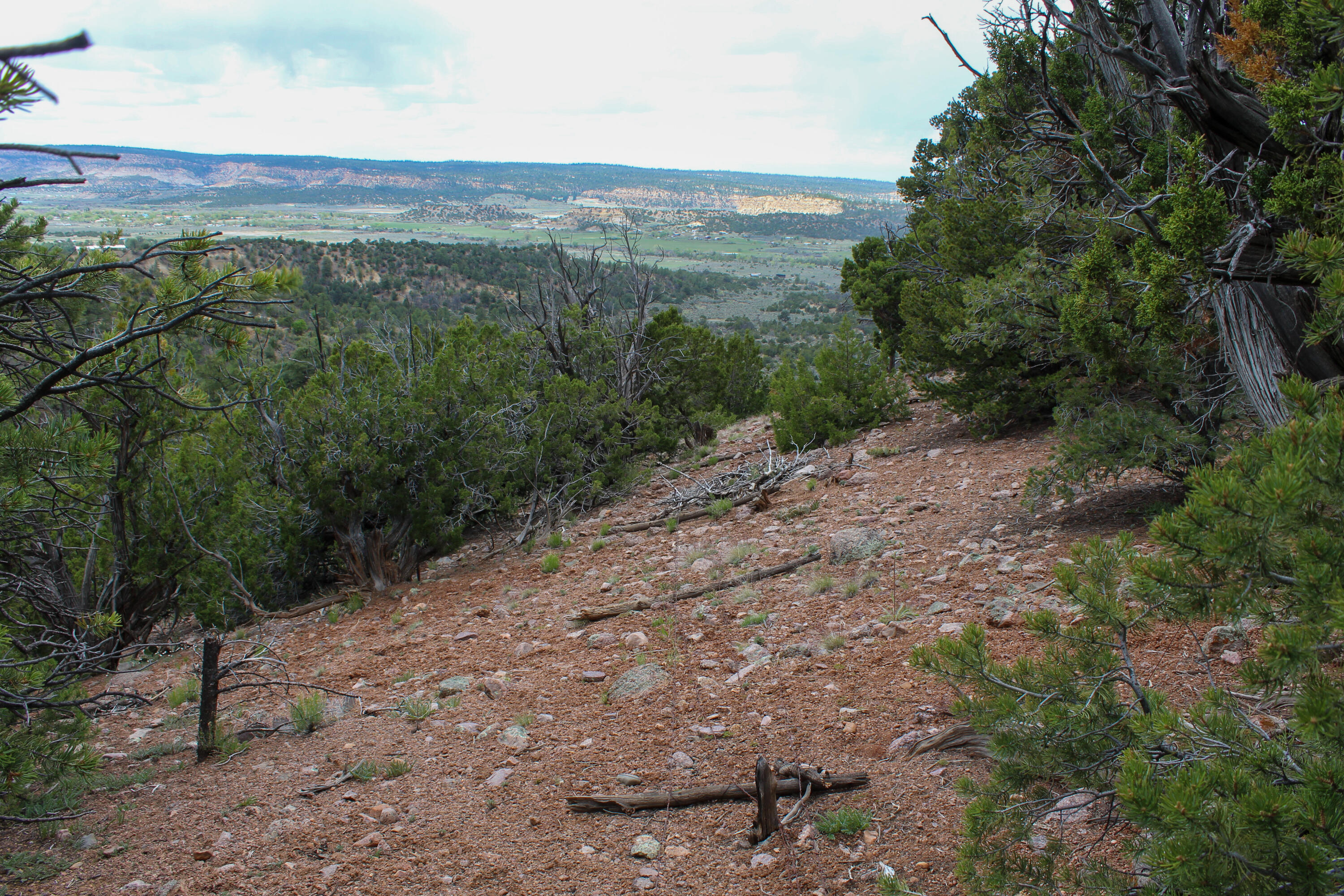 Tbd 200 Vallecitos Road Road, Cuba, New Mexico image 38