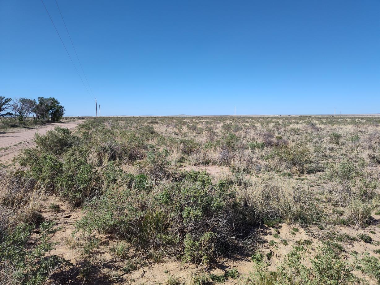 Ice Plant Court, McIntosh, New Mexico image 7