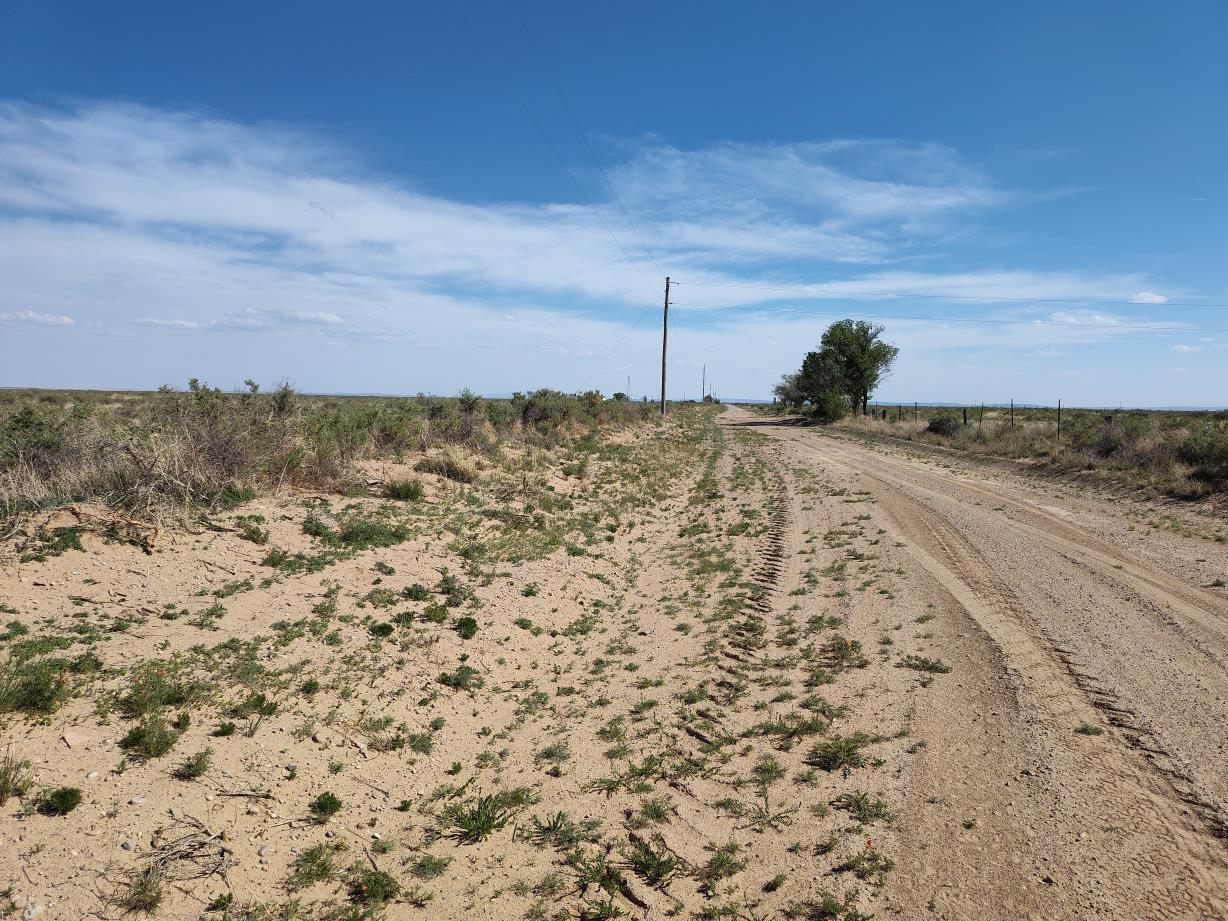 Ice Plant Court, McIntosh, New Mexico image 8