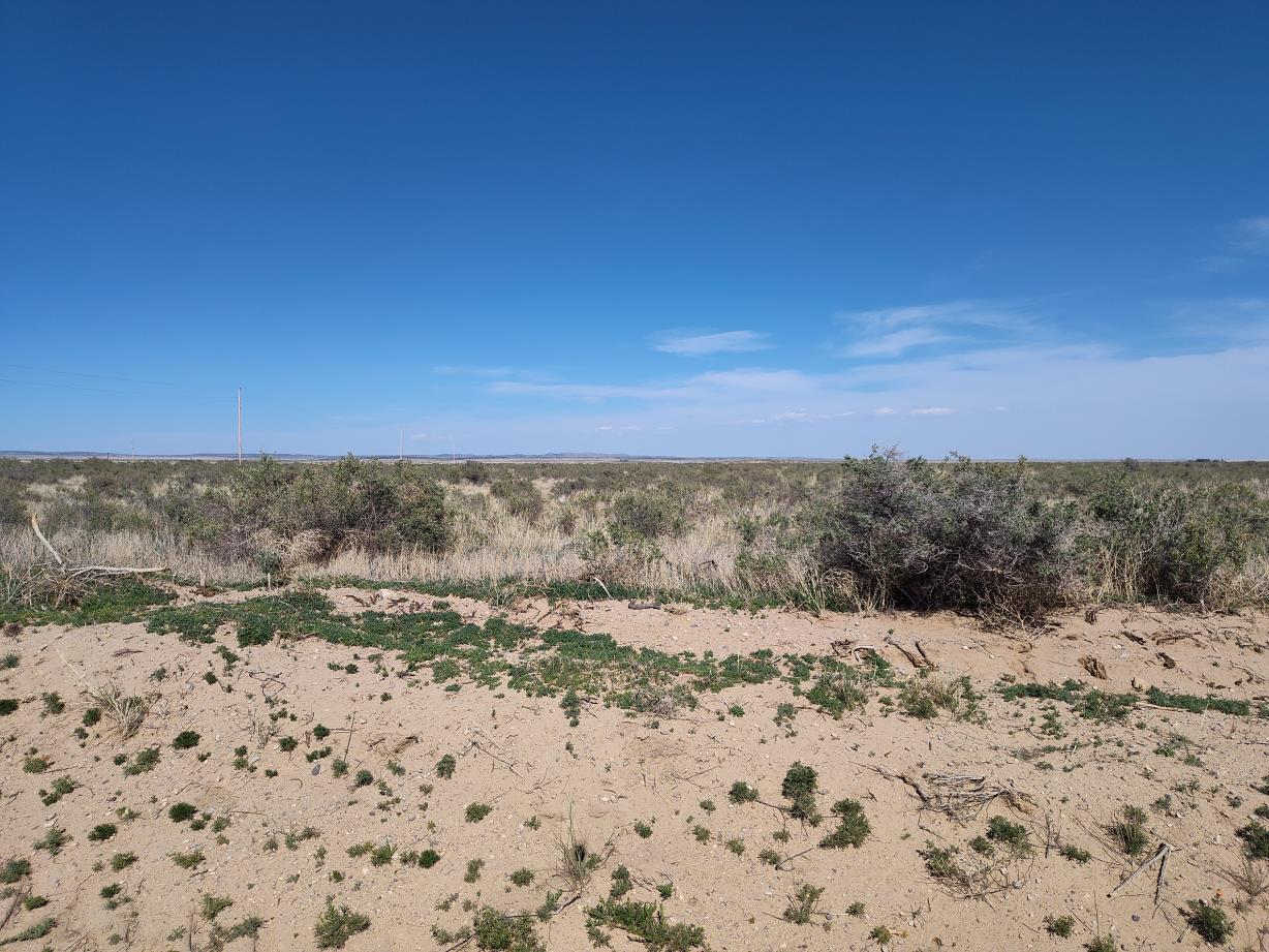 Ice Plant Court, McIntosh, New Mexico image 3