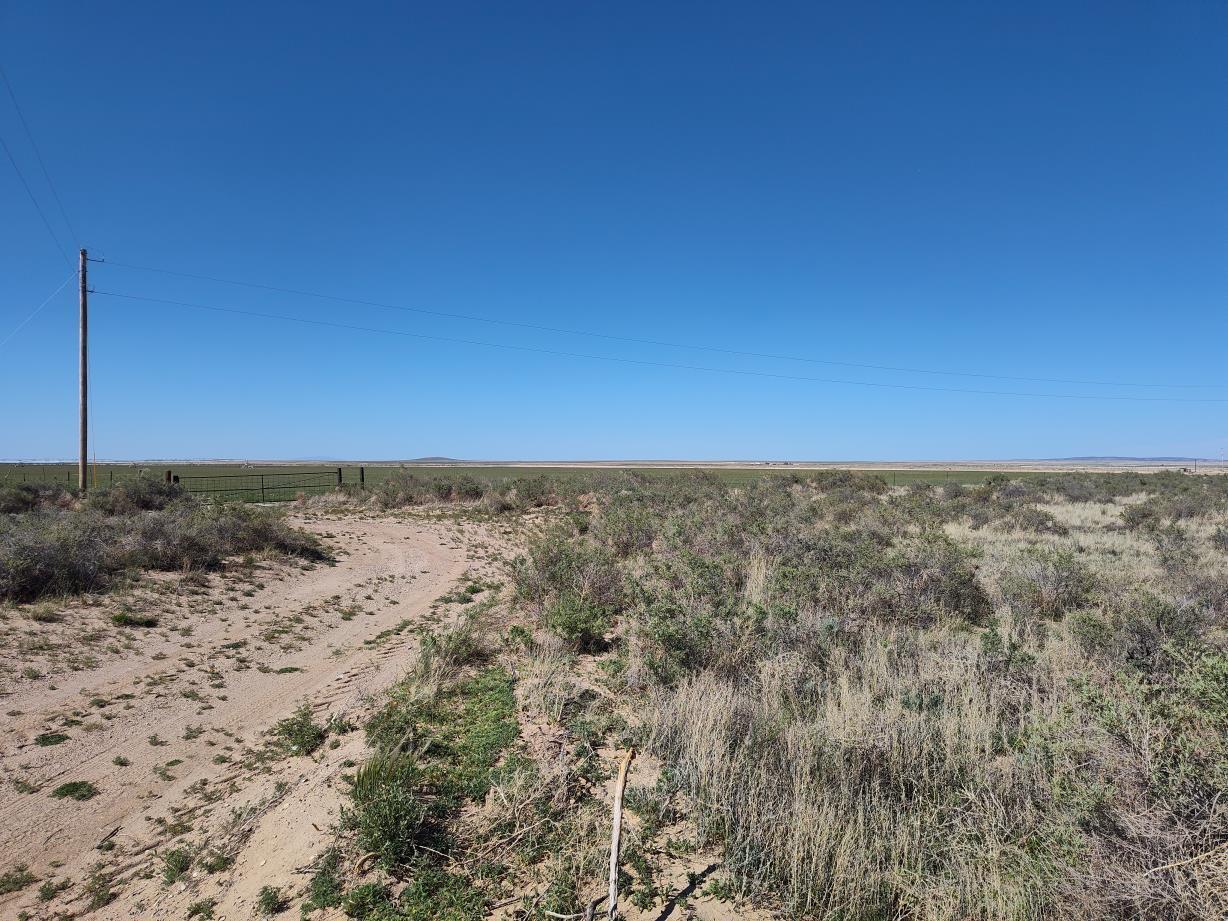 Ice Plant Court, McIntosh, New Mexico image 5