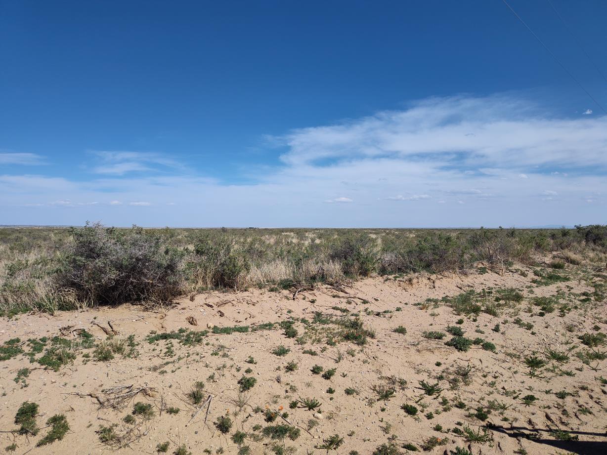 Ice Plant Court, McIntosh, New Mexico image 4