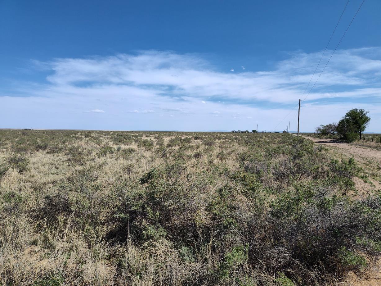 Ice Plant Court, McIntosh, New Mexico image 1