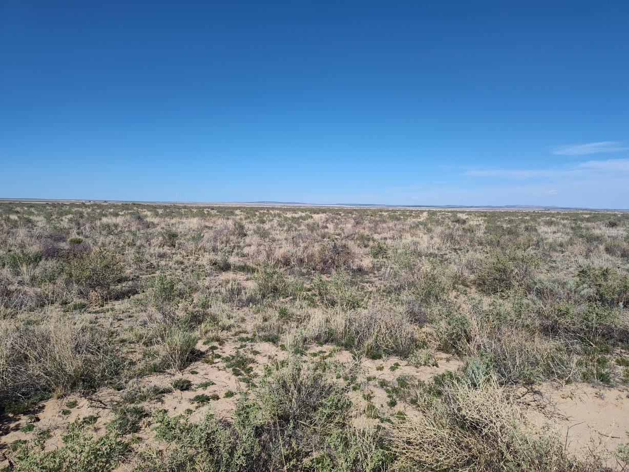 Ice Plant Court, McIntosh, New Mexico image 6