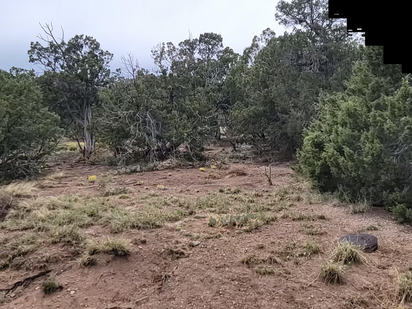 62 High Vista Drive, Moriarty, New Mexico image 1