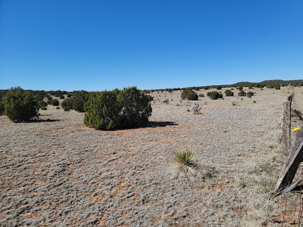 70 Quiet Valley Drive, Estancia, New Mexico image 2