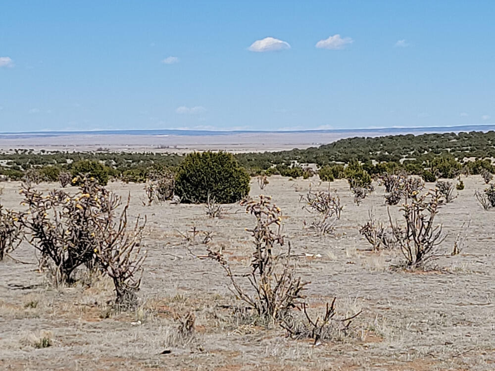 70 Quiet Valley Drive, Estancia, New Mexico image 1