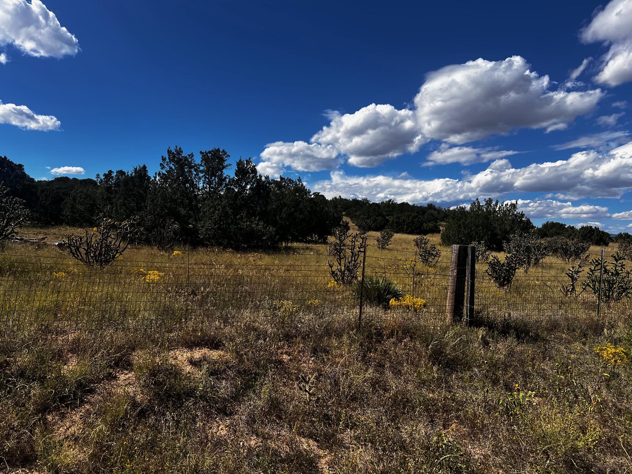 2068 OLD HY 66 (NM333)