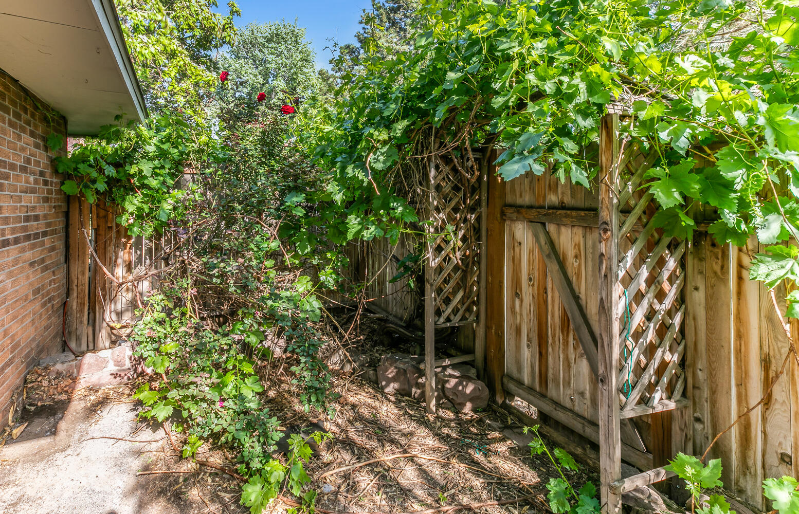 24 Lakeshore Drive, Albuquerque, New Mexico image 22