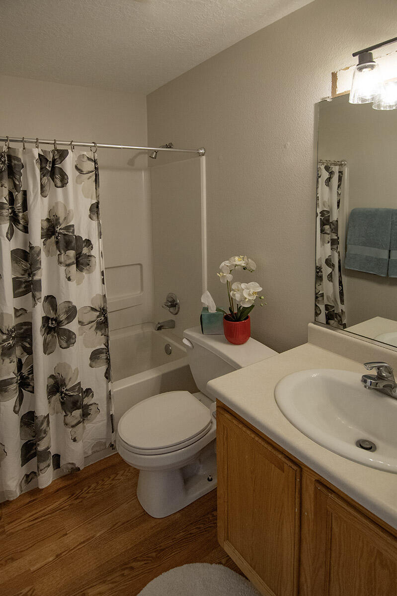 7420 Twisted Branch Street, Albuquerque, New Mexico image 13