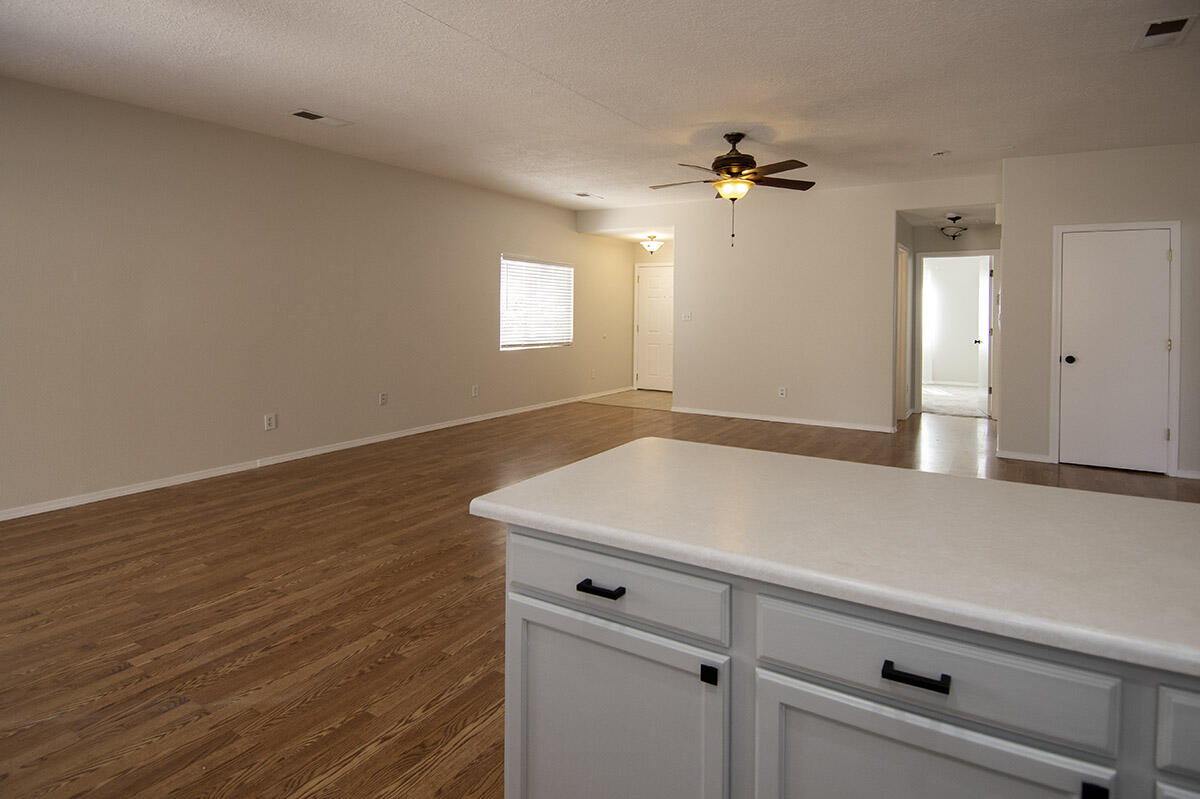7420 Twisted Branch Street, Albuquerque, New Mexico image 5