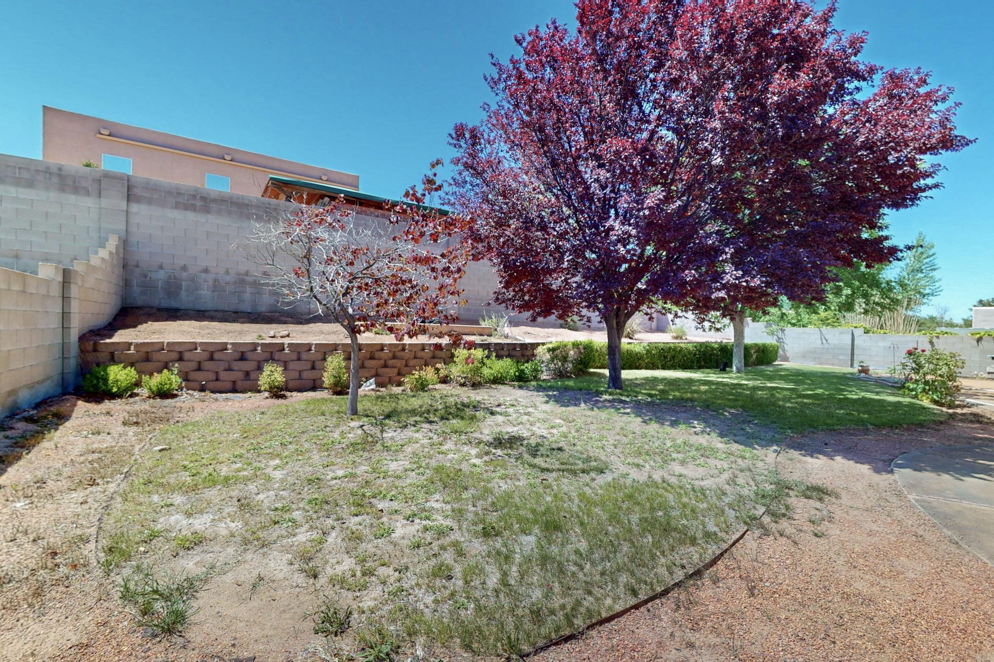 6132 Cielo Grande Drive, Rio Rancho, New Mexico image 39