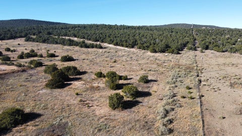 Vacant Land For Sale - Brannan Road<br/> Tijeras, NM 87059