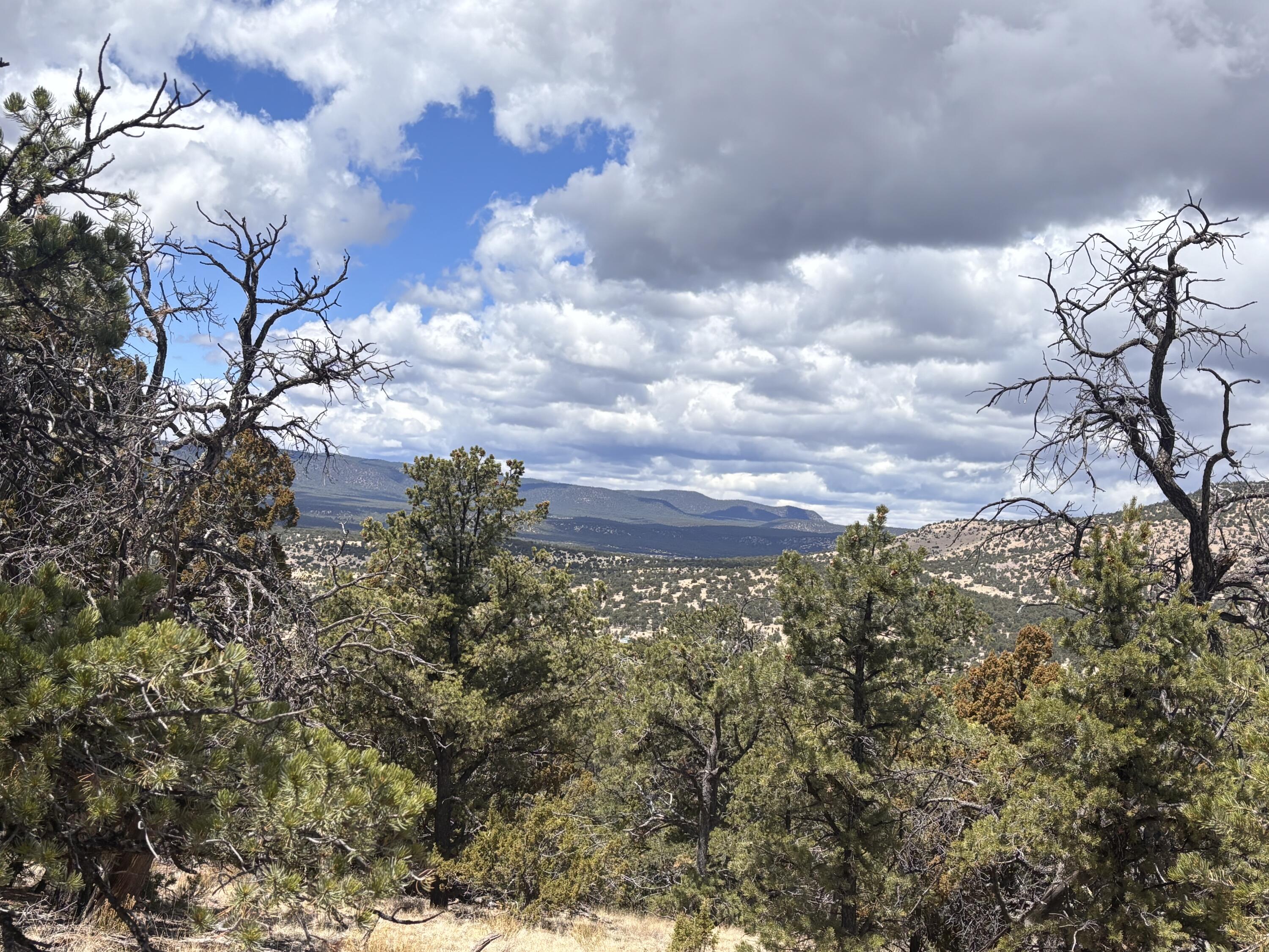 43 Carson Drive Last Frontier Dr, Datil, New Mexico image 7