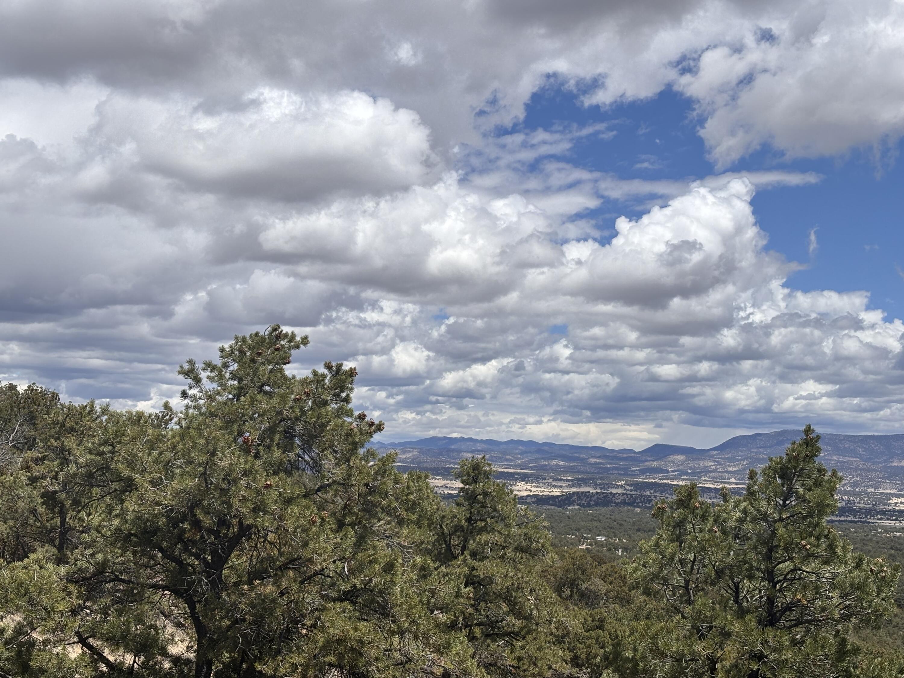 43 Carson Drive Last Frontier Dr, Datil, New Mexico image 8