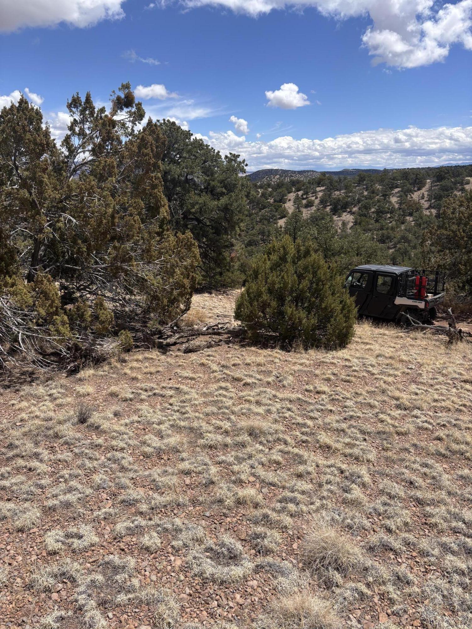 43 Carson Drive Last Frontier Dr, Datil, New Mexico image 18