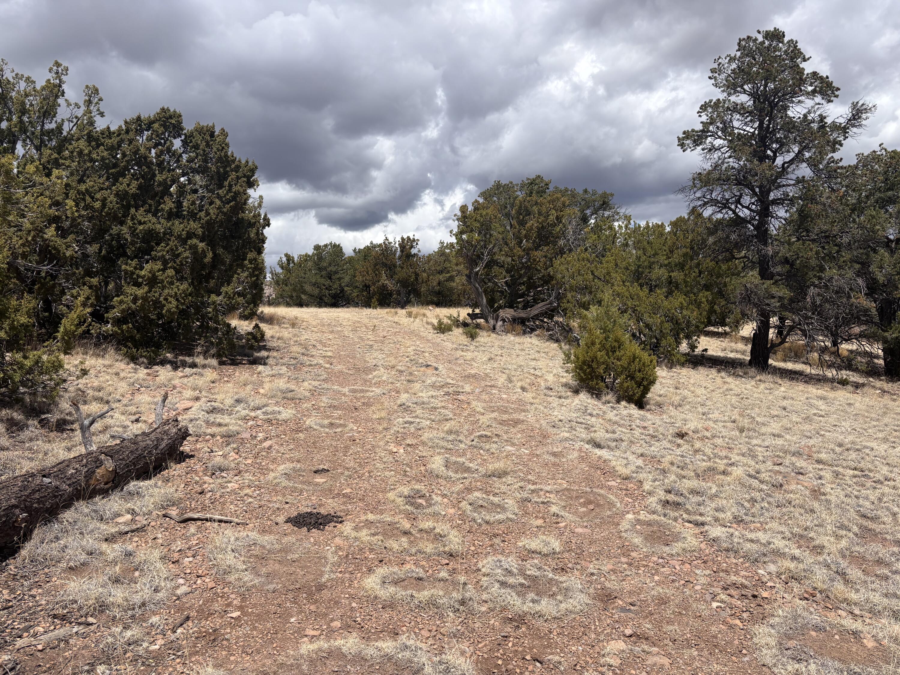 43 Carson Drive Last Frontier Dr, Datil, New Mexico image 12