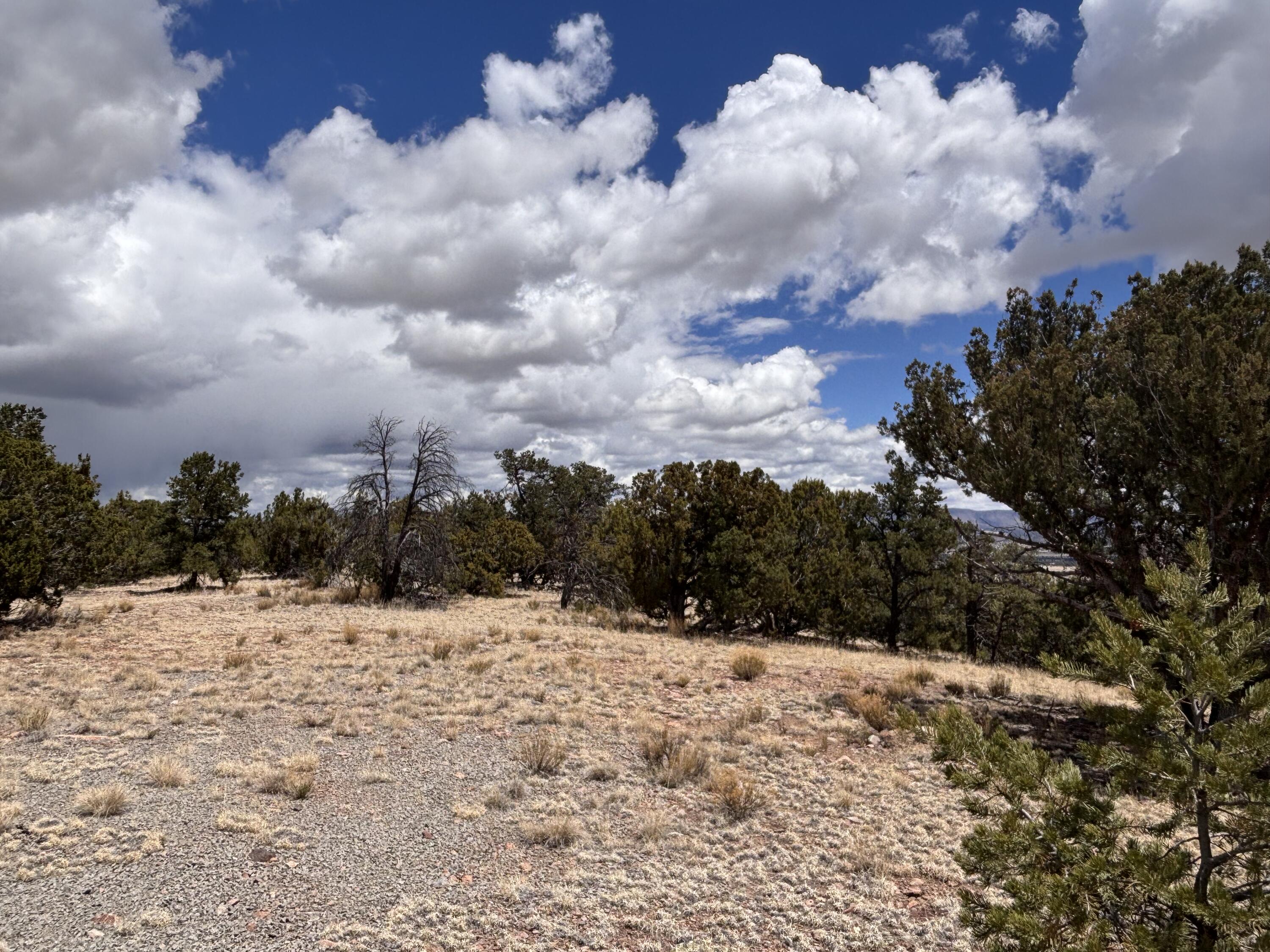 43 Carson Drive Last Frontier Dr, Datil, New Mexico image 16