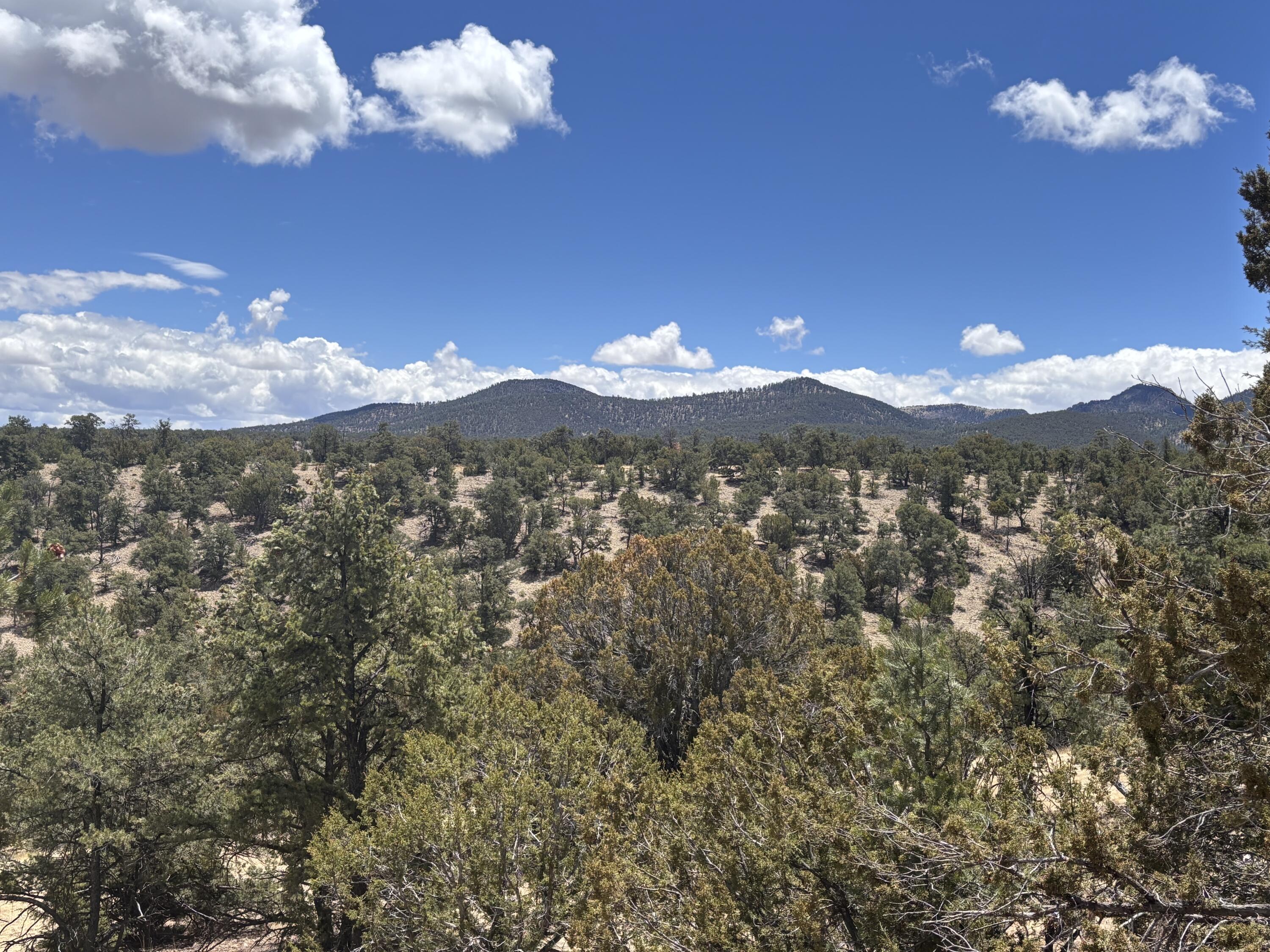 43 Carson Drive Last Frontier Dr, Datil, New Mexico image 2