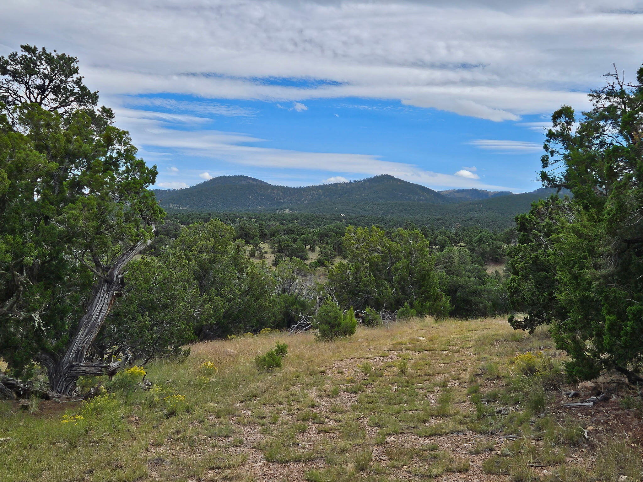 43 Carson Drive Last Frontier Dr, Datil, New Mexico image 1