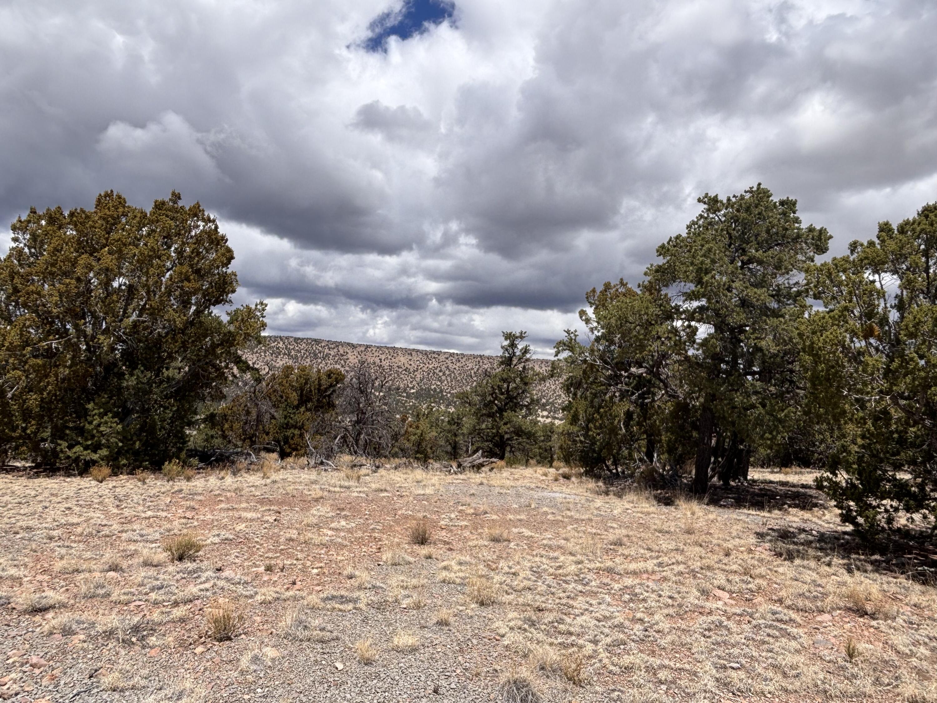 43 Carson Drive Last Frontier Dr, Datil, New Mexico image 13