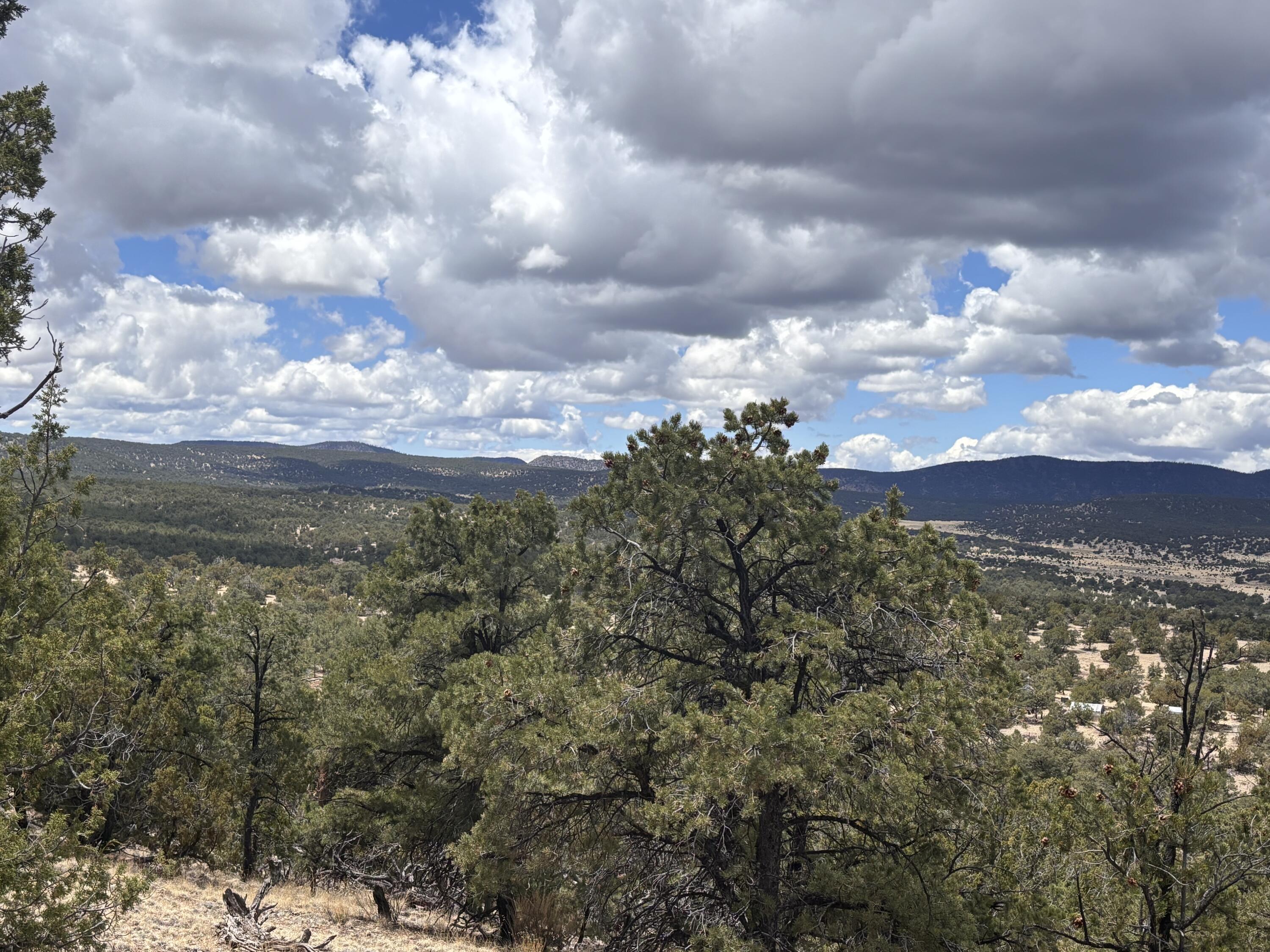 43 Carson Drive Last Frontier Dr, Datil, New Mexico image 4