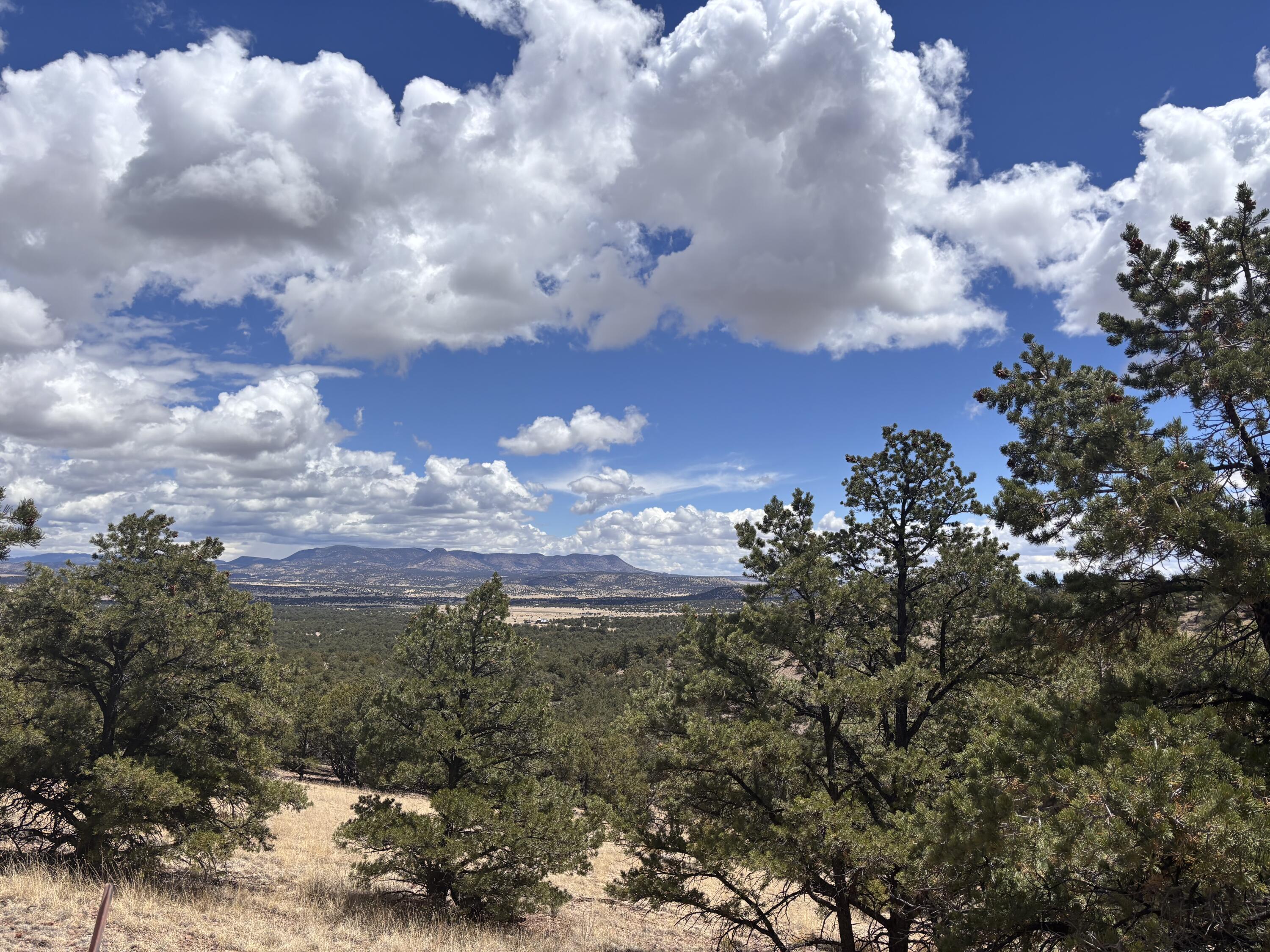 43 Carson Drive Last Frontier Dr, Datil, New Mexico image 17