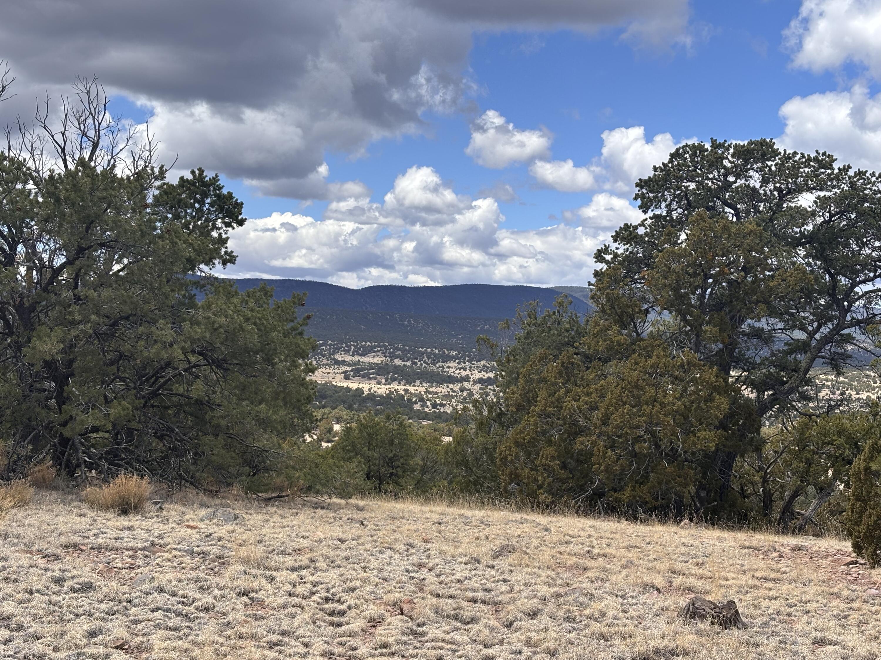 43 Carson Drive Last Frontier Dr, Datil, New Mexico image 6