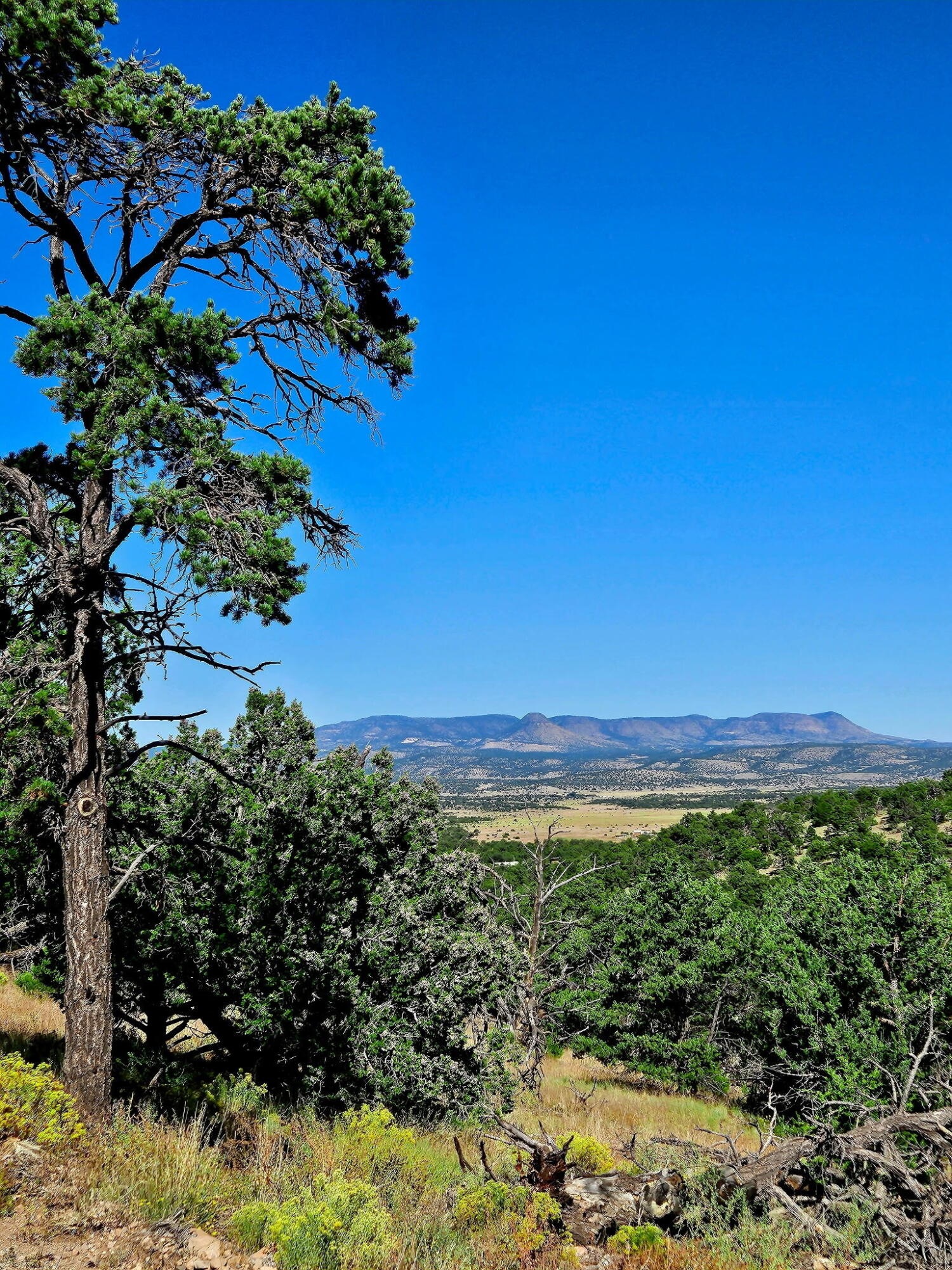 43 Carson Drive Last Frontier Dr, Datil, New Mexico image 14