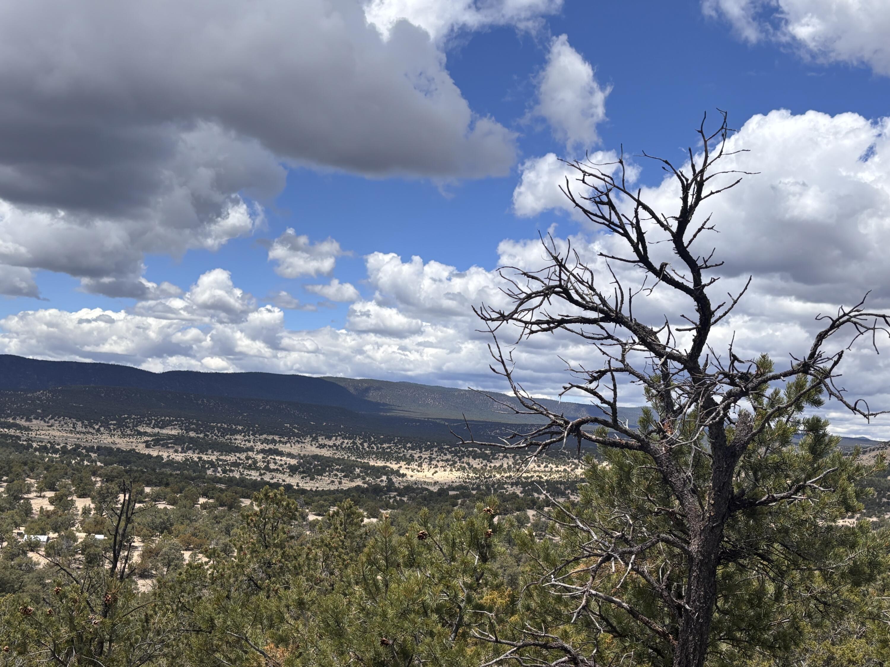 43 Carson Drive Last Frontier Dr, Datil, New Mexico image 3