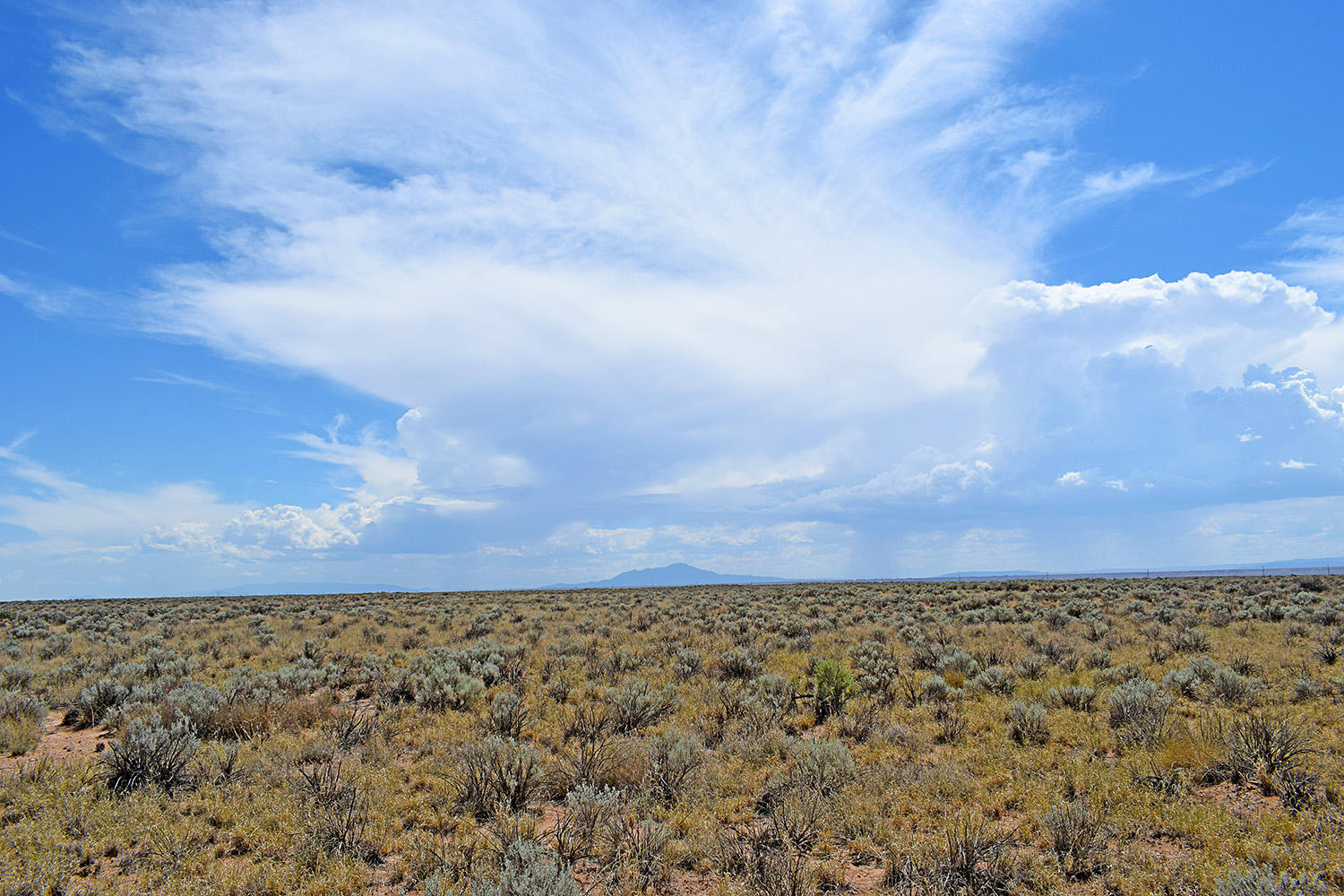 Lot 8 Rio Del Oro #9, Los Lunas, New Mexico image 7