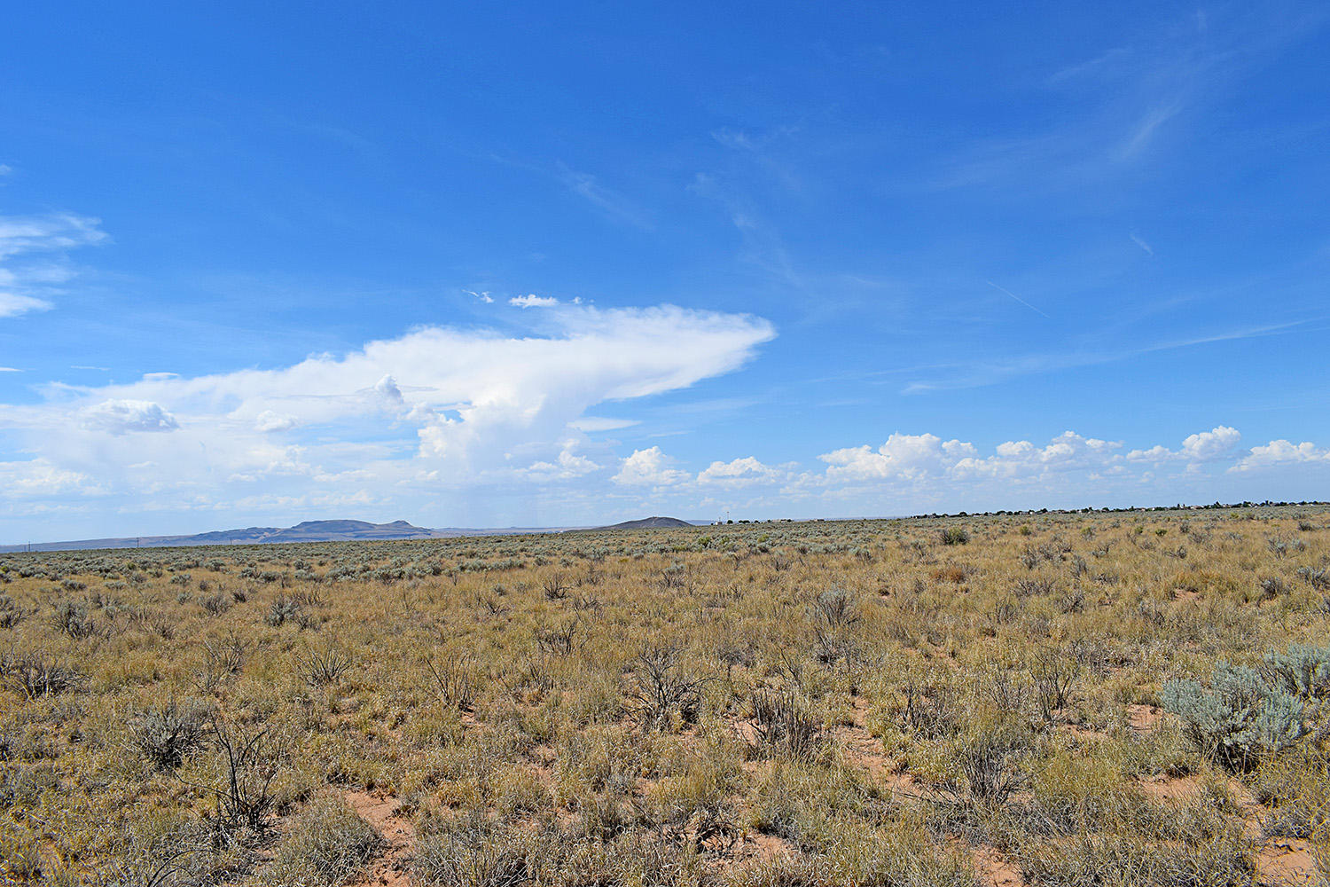 Lot 8 Rio Del Oro #9, Los Lunas, New Mexico image 5