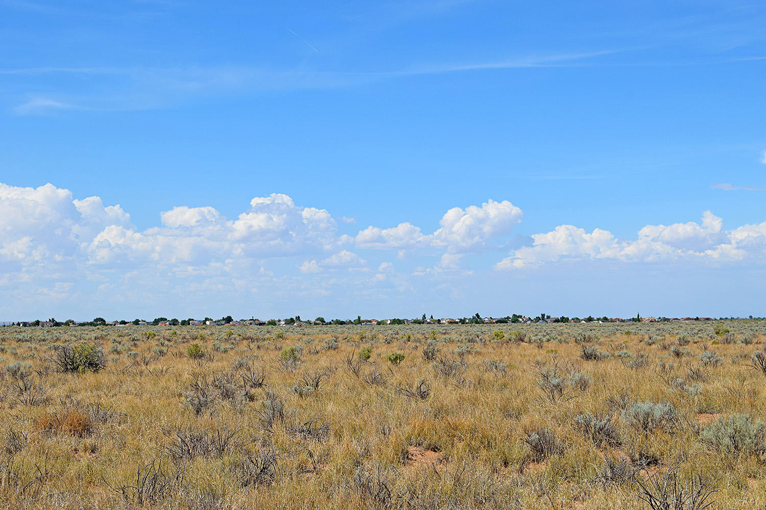 Lot 8 Rio Del Oro #9, Los Lunas, New Mexico image 12