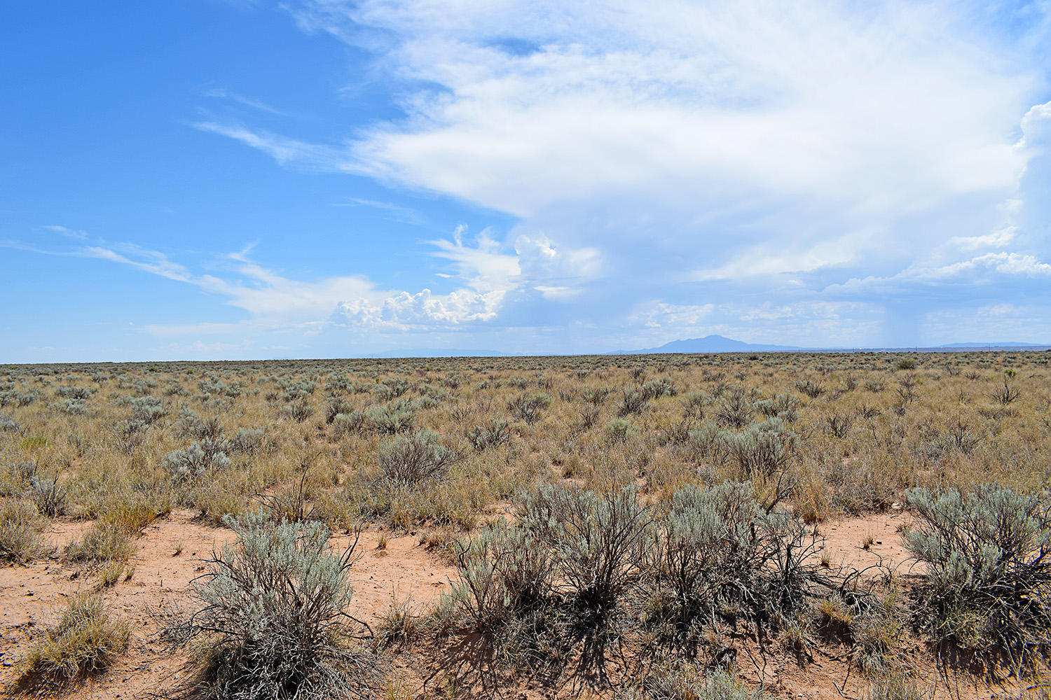 Lot 8 Rio Del Oro #9, Los Lunas, New Mexico image 1